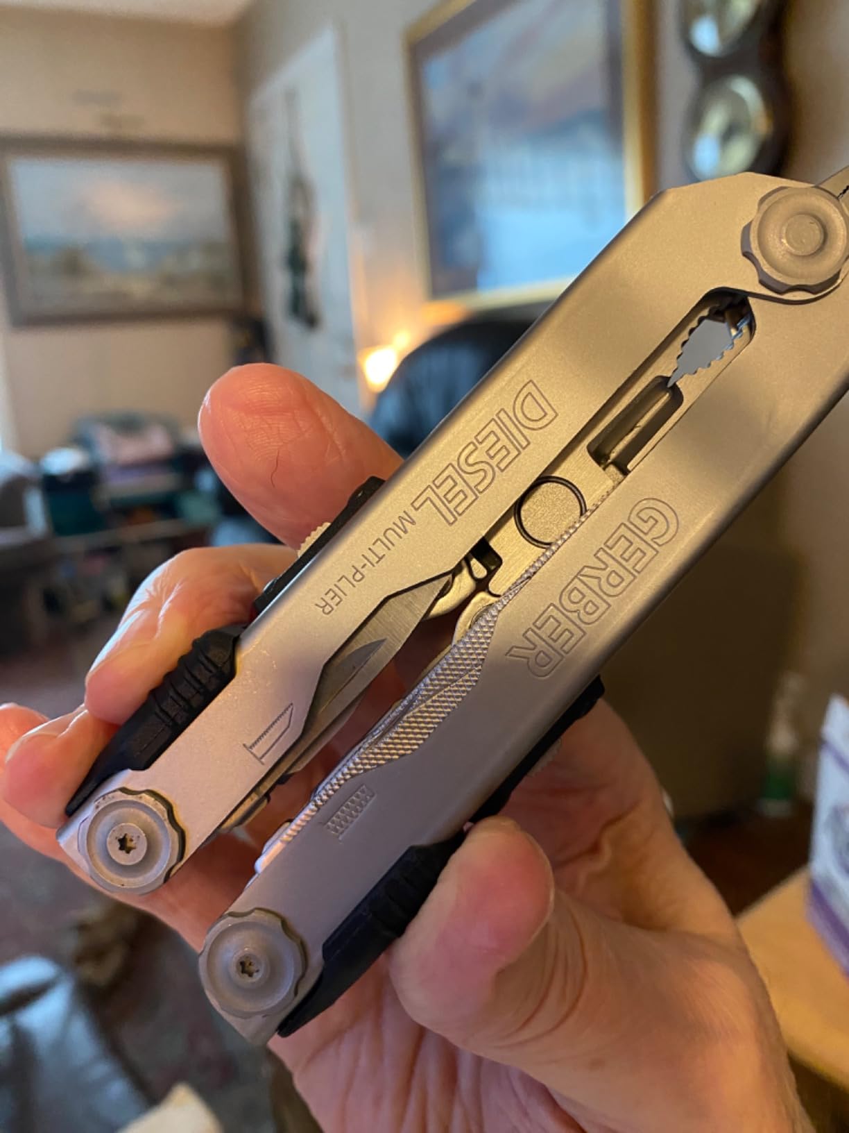 Gerber Gear Diesel Multi-Plier, Stainless Steel [22-01470] customer photo 1