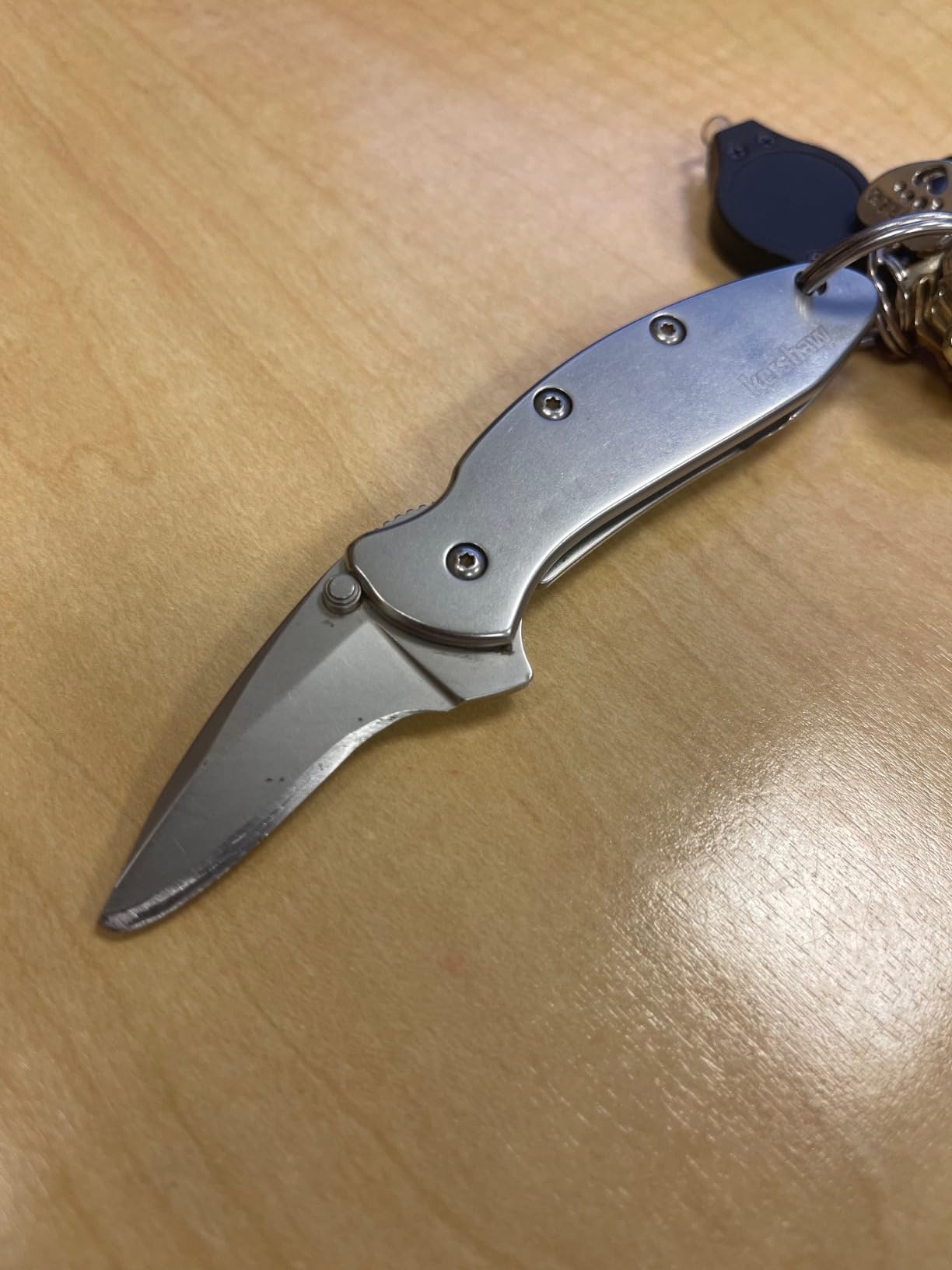 Kershaw Chive Pocket Knife, 1.9 Inch 420HC Steel Blade, Speedsafe Assisted Opening, Made in the USA (1600) customer photo 1