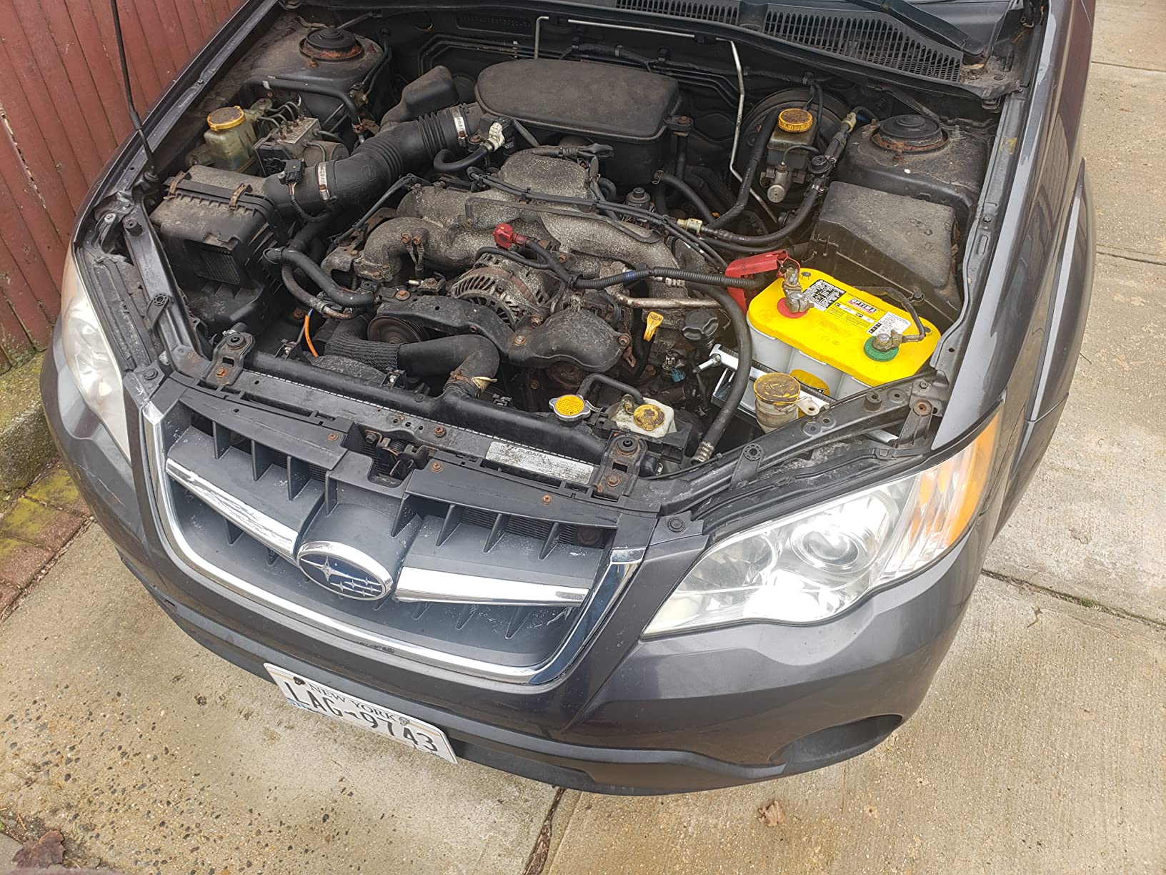 OPTIMA® Batteries High Performance D34 YELLOWTOP® Dual Purpose Sealed AGM Car, Truck and SUV Battery, 750 CCA, Maintenance Free, Versatile Mounting customer photo 2