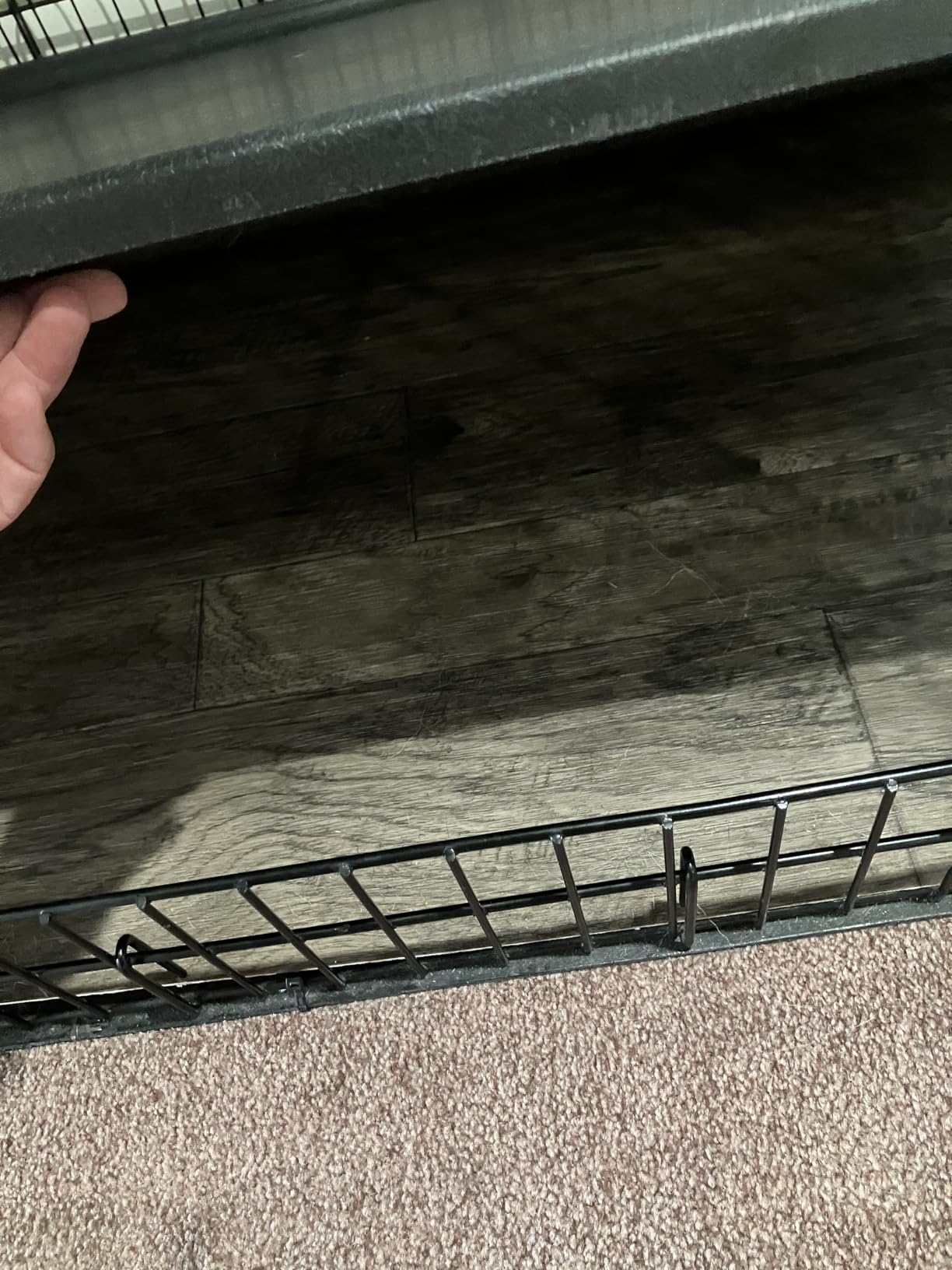 MidWest Homes for Pets 36-Inch iCrate for Medium-Large Breeds, Single Door Folding Dog Crate with Divider Panel customer photo 1