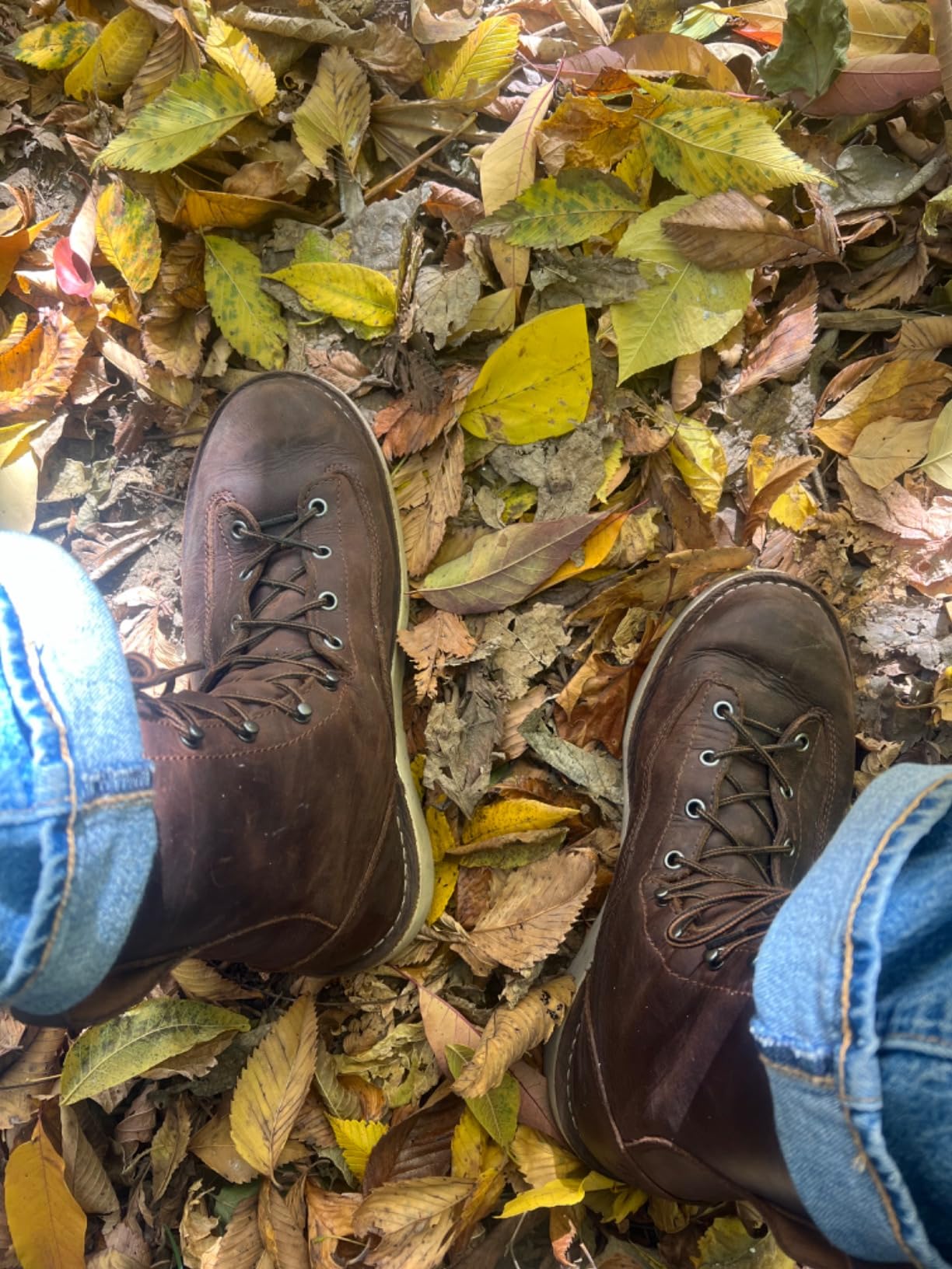 Danner 8