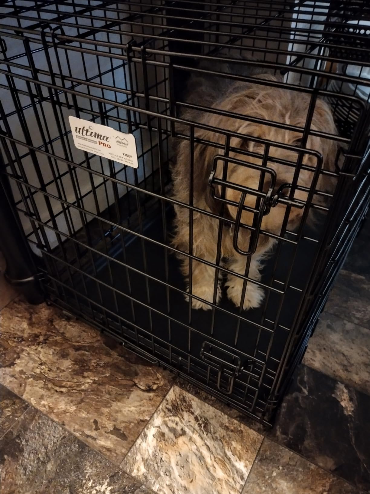 Ultima Pro by MidWest 42-Inch Double Door Dog Crate, 71-90 lbs customer photo 2