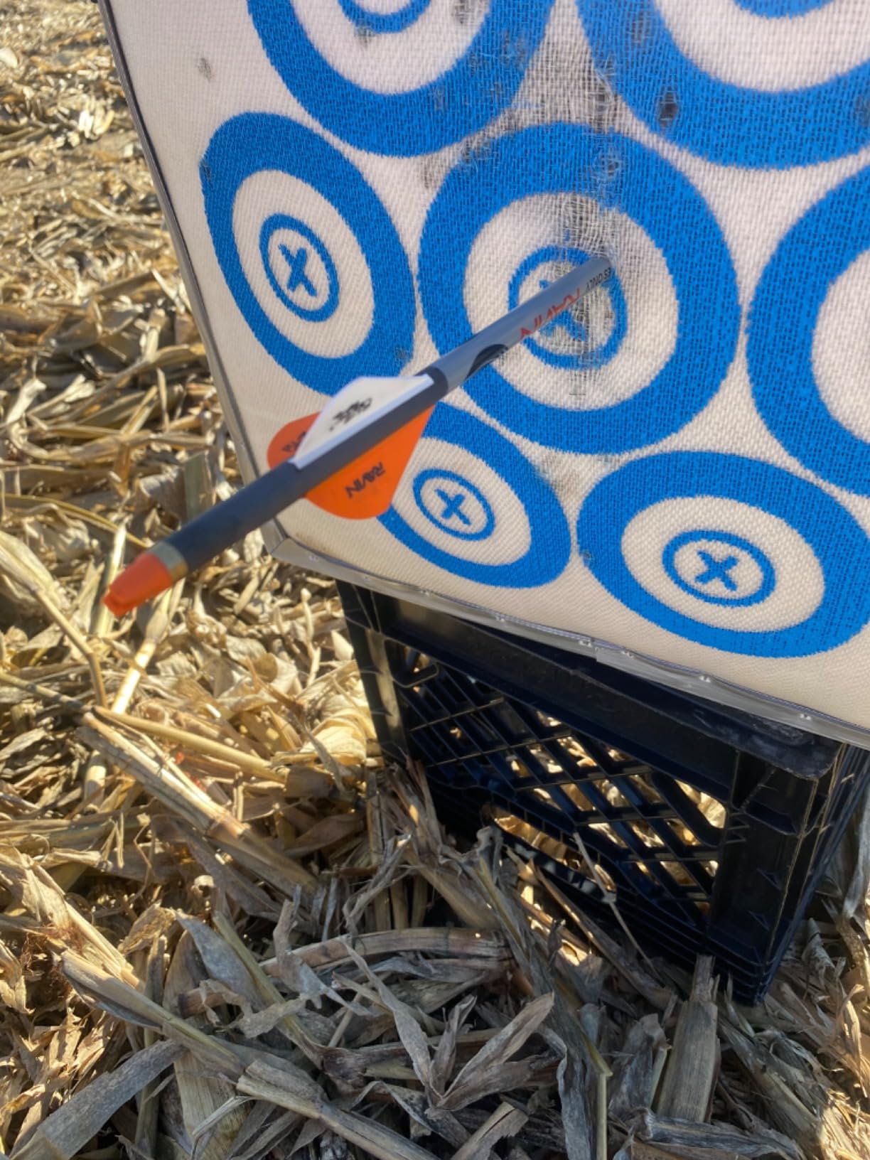 SpyderWeb 18XL Archery Targets for Backyard and Crossbow Targets 500fps and More, No Speed Limit, Easy Arrow Pull, Self-Healing Spylar, Silver Waterproof Cover, Handles Harsh Weather, Field Tip Only customer photo 1