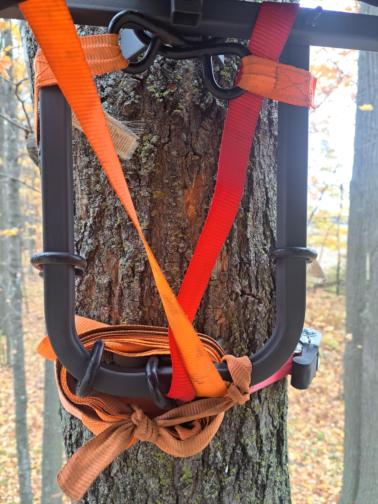 Guide Gear Universal Tree Stand Blind Kit for Hunting, Elevated Deer Blinds, Camo Tent customer photo 1