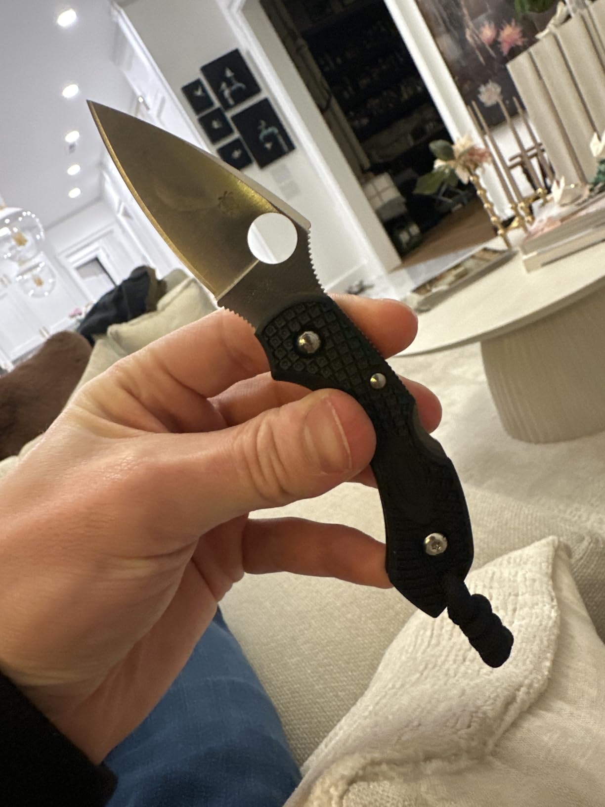 Spyderco Dragonfly 2 Lightweight Folding Pocket Knife with 2.2
