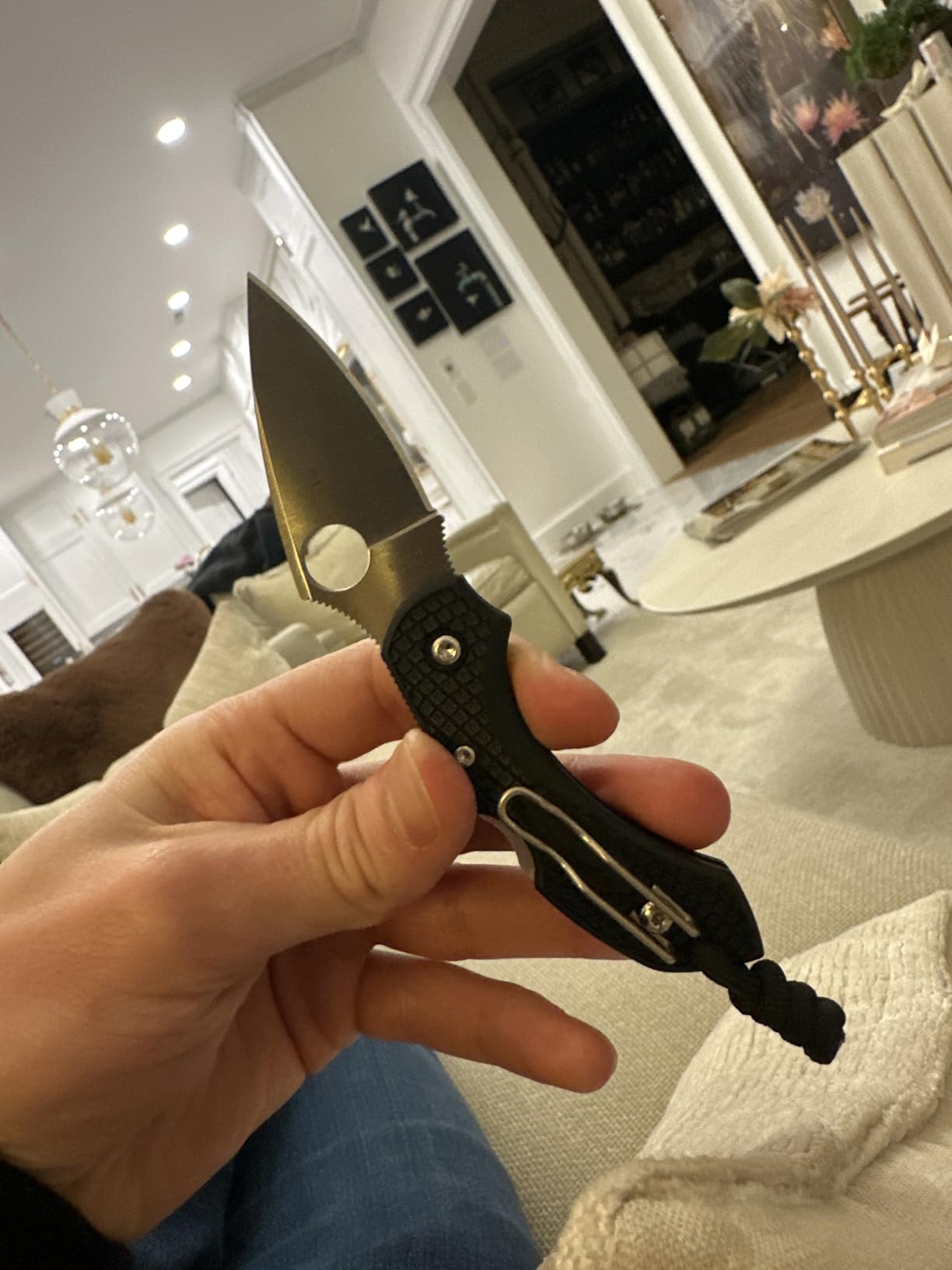 Spyderco Dragonfly 2 Lightweight Folding Pocket Knife with 2.2