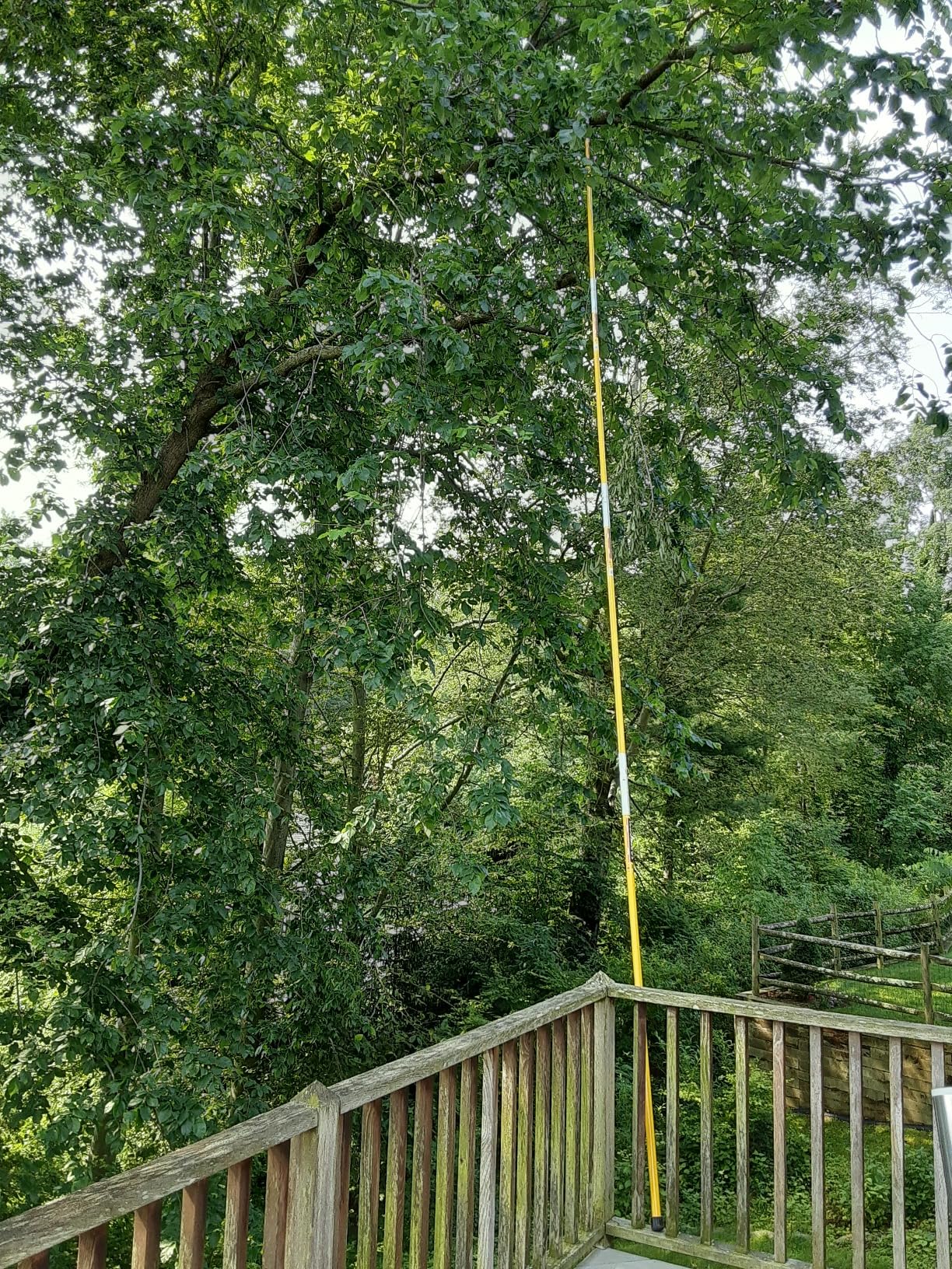 Jameson FG-6PKG-1 FG-Series Manual Pole Saw and Tree Pruner with Two 6-Foot Fiberglass Poles customer photo 1