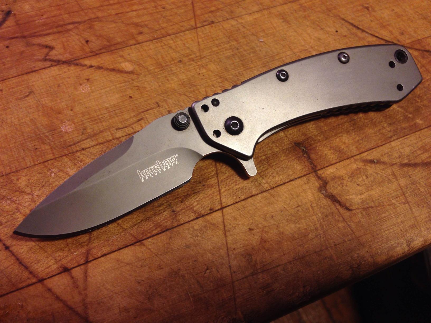 Kershaw Cryo Pocket Knife, EDC Knife with Speedsafe Assisted Opening, 2.75 Inch Stainless Steel Blade customer photo 2
