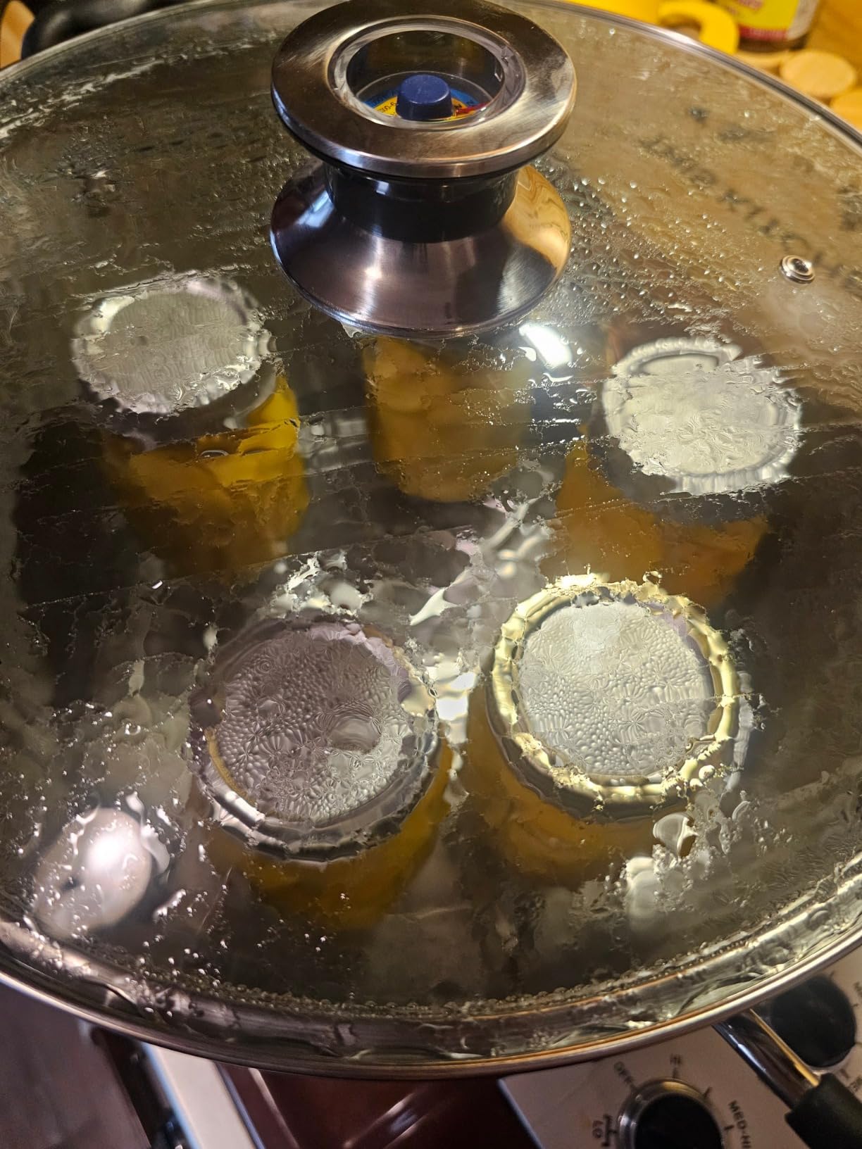Harvest Stainless Steel 20 Qt Canning Pot with Rack | Water Bath or Steam Canning | Works on All Stovetops Including Induction, Glass, Gas (Stainless Steel Canner + Tools) customer photo 1