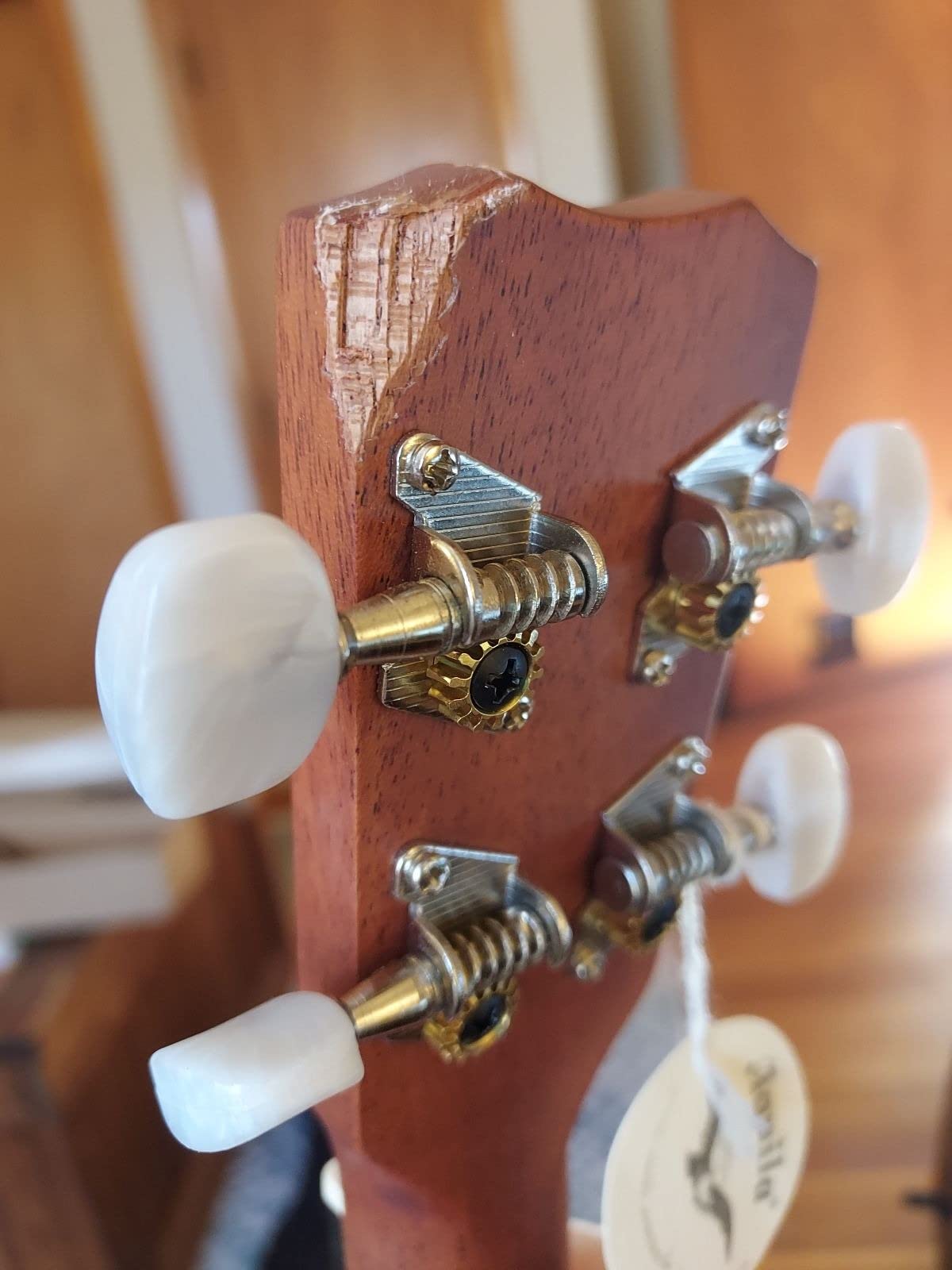 Cordoba 20TM-CE Acoustic Electric Tenor Ukulele customer photo 2