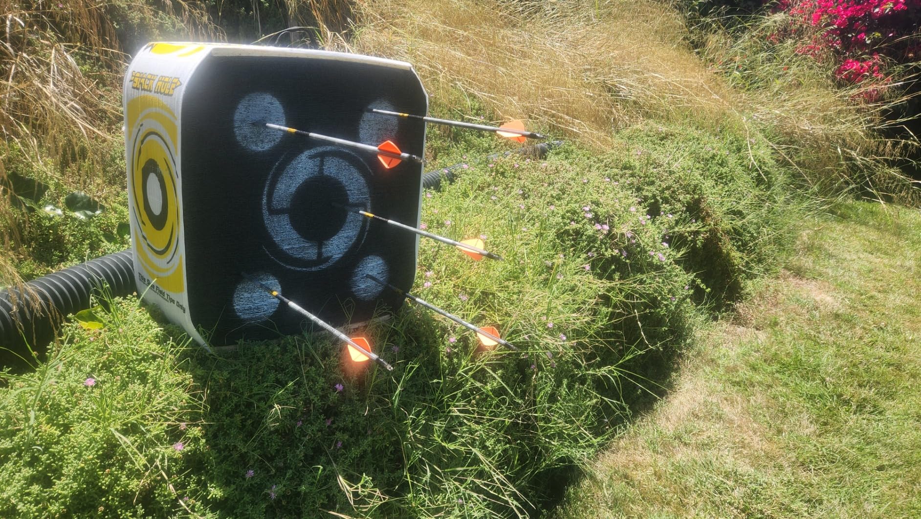 Black Hole 4-Sided Target 18