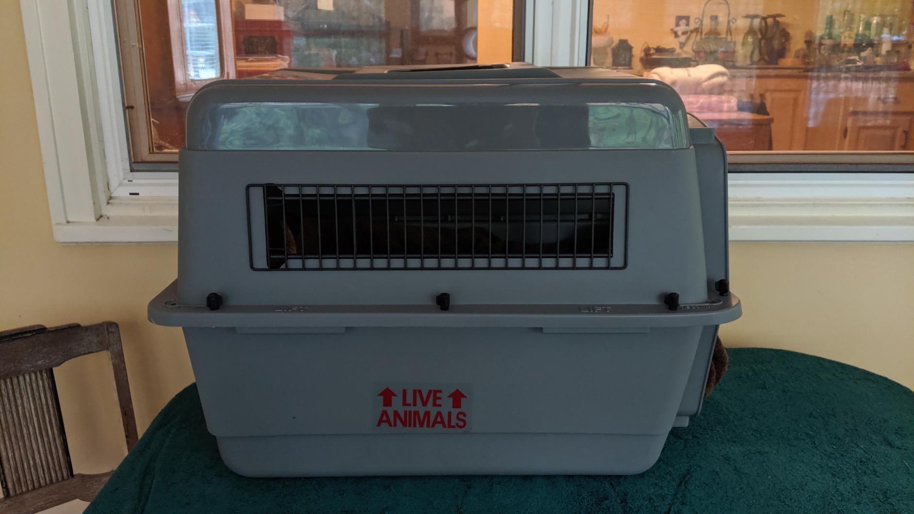 Petmate Sky Kennel - For Air and Travel, Airline Compliant Dog Crate for Pets up 15-30 lbs, Heavy Duty Dog Kennel, Made in the USA- 28 Inches customer photo 2