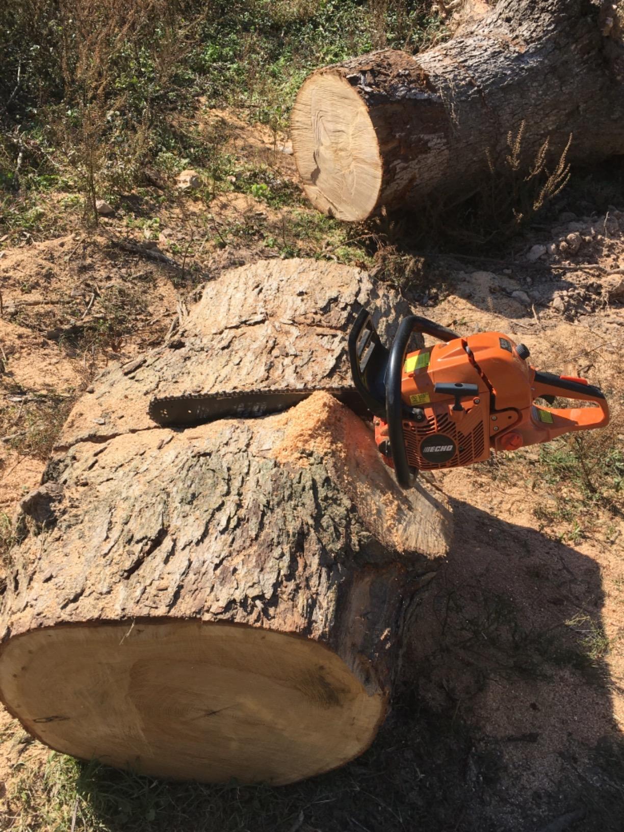 Chain Saw, Gas, 20 in. Bar, 59.8cc customer photo 2