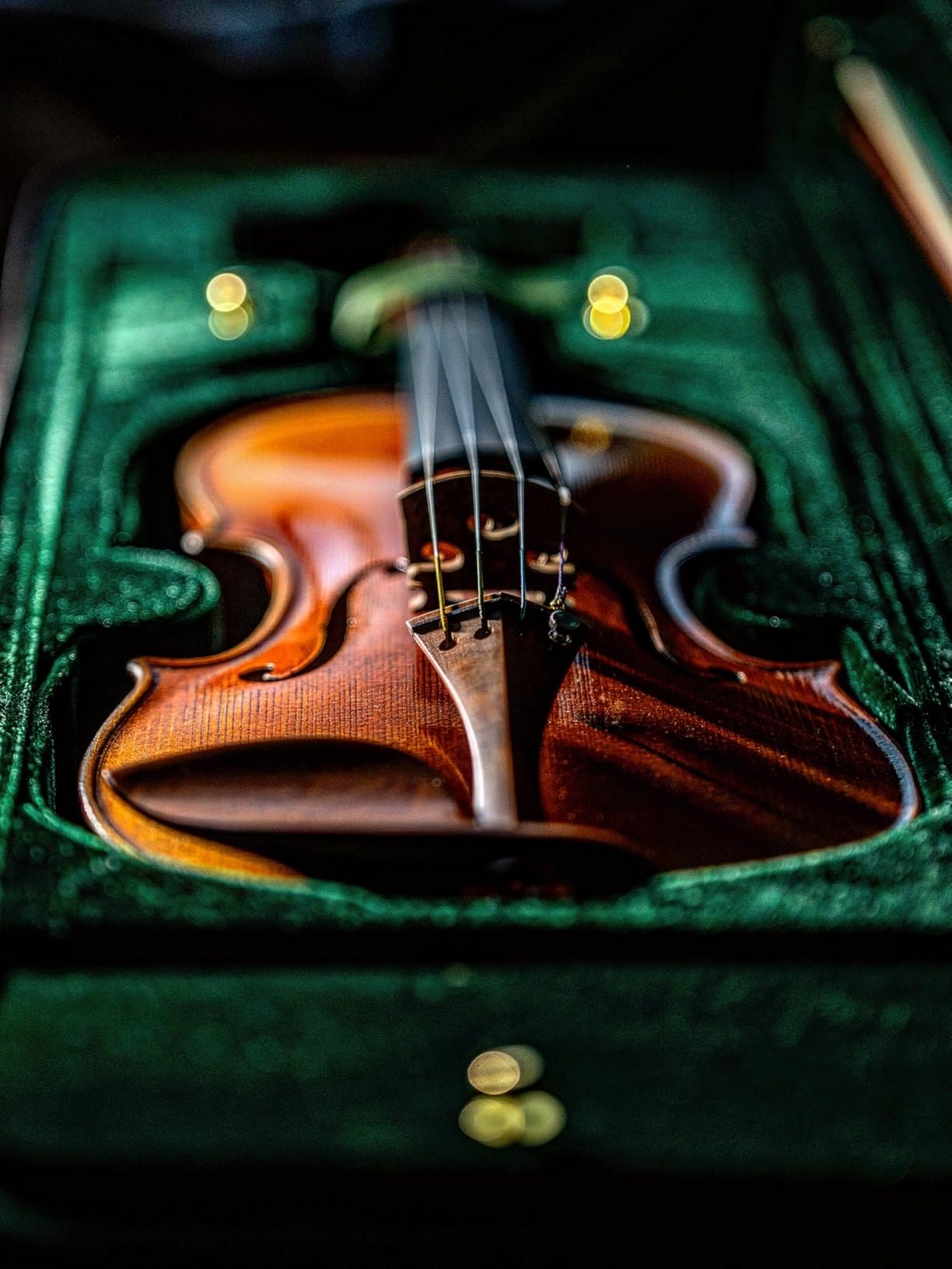 SV-800 4/4 Premier Artist Violin Outfit - Bow & Case Included, Hand-Carved Tonewoods, Hill-Style Fittings, Thomastik Dominant Strings customer photo 2
