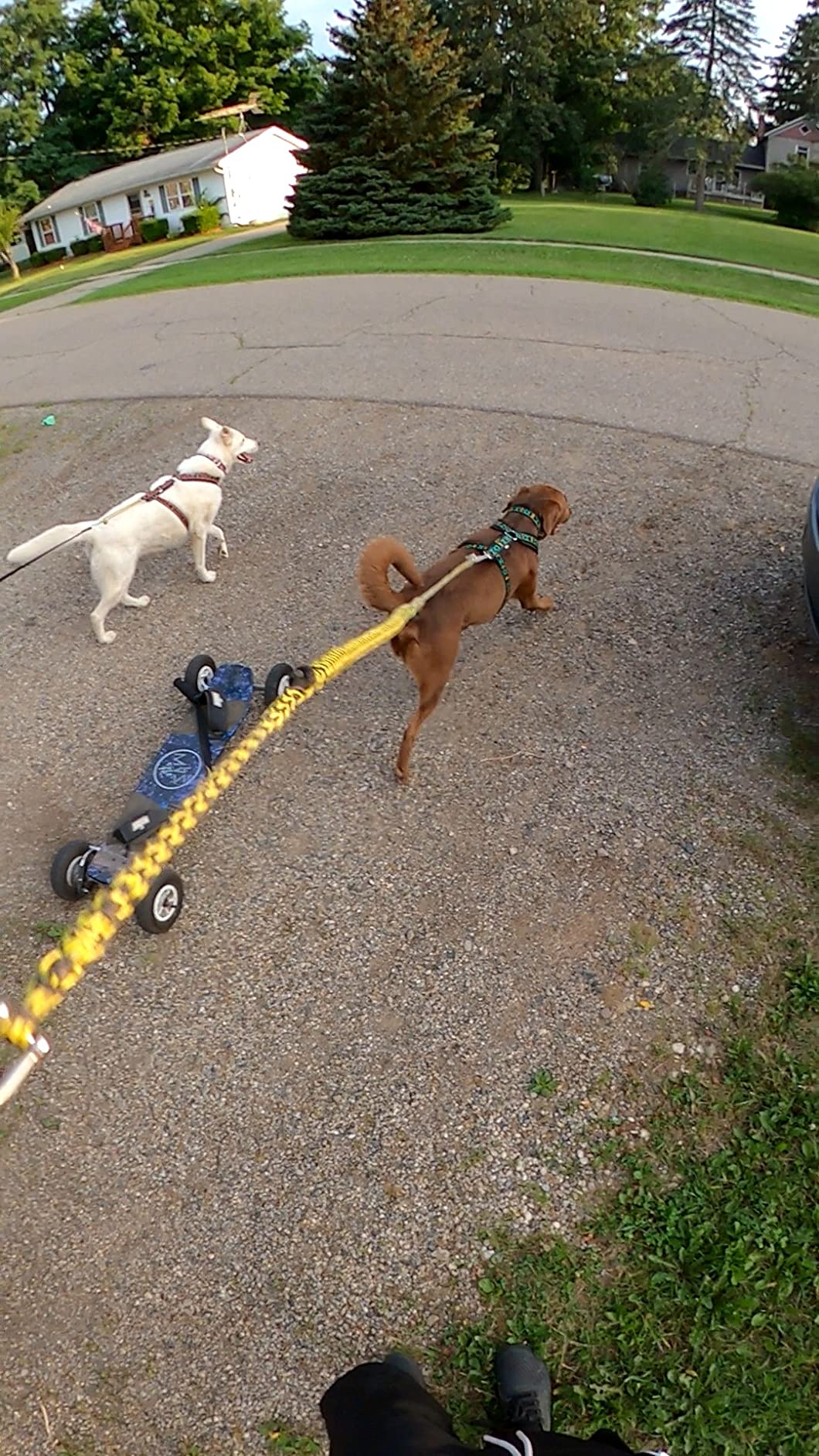 MBS Colt 90X Mountainboard customer photo 2