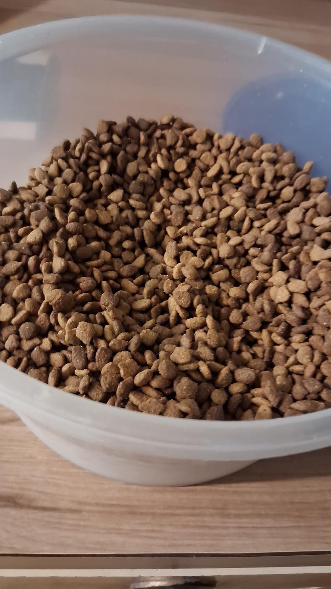 IAMS Proactive Health Dry Cat Food, Indoor Weight and Hairball Care Cat Food Dry Recipe, with Real Chicken in Every Bite, 7 lb. Bag customer photo 1