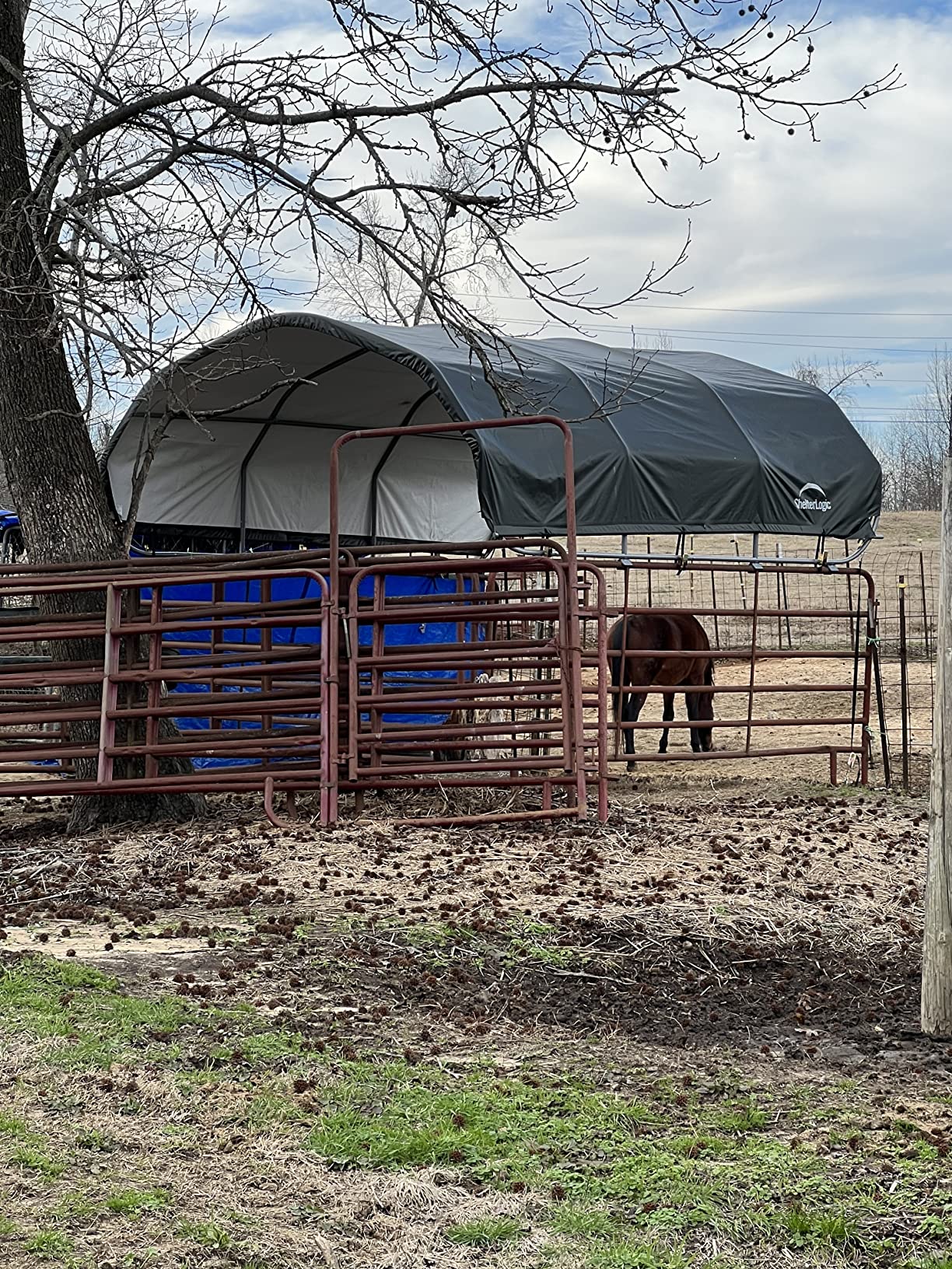 ShelterLogic 12' x 12' Corral Shelter and Livestock Shade Waterproof and UV Treated Universal Cover for Horses, Goats, and Other Livestock customer photo 1