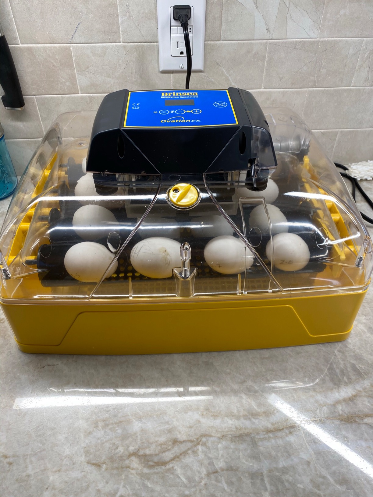 Brinsea Ovation 28 EX Incubator for Hatching Eggs with Automatic Humidity Control - Fully Automatic Chicken Egg Incubator with Digital Display - Holds Quail Duck and Turkey customer photo 1