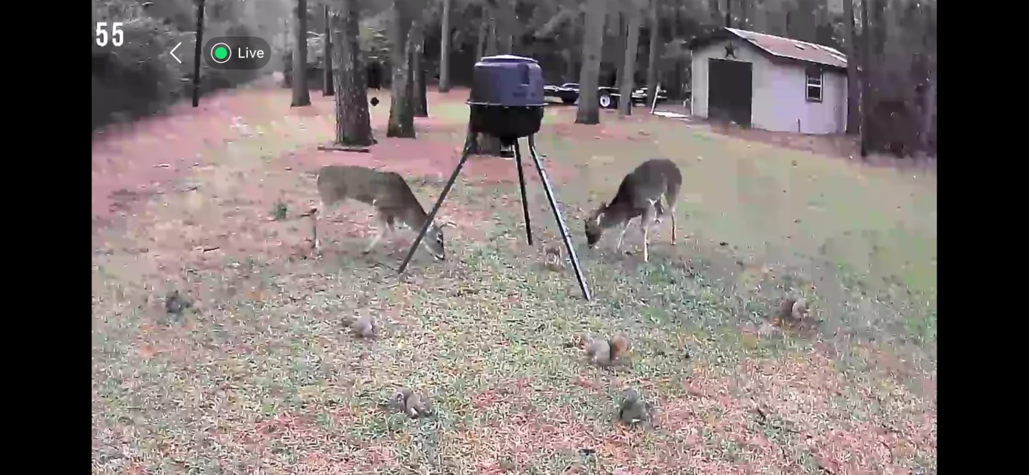 Moultrie 30-Gallon Deer Feeder Tripod - Moultrie Quick-Lock Hopper System - Digital Timer Control - 200 lb Feed Capacity - Durable Polymer Build - Metal Spin Plate customer photo 2