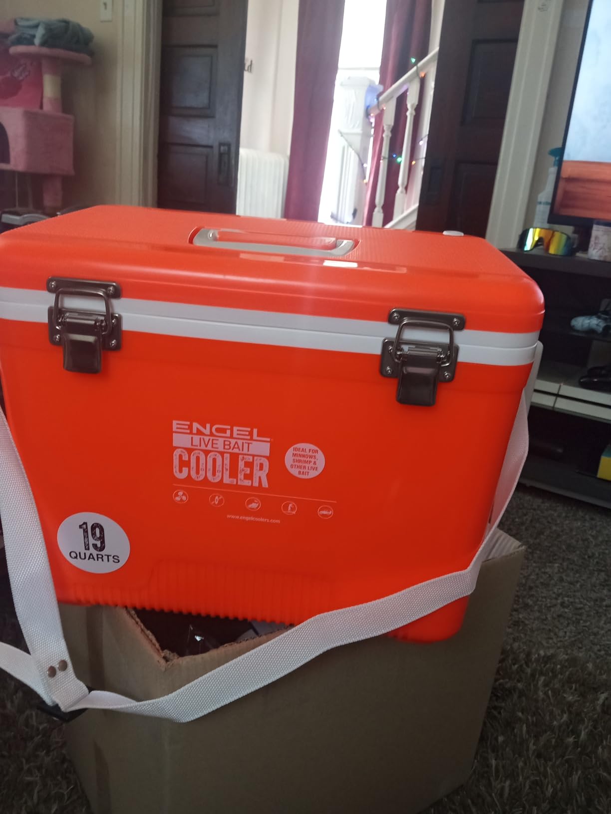 Engel Live Bait Cooler Box with 2nd Gen 2-Speed Aerator Pump - Portable Fishing Station & Minnow Bucket for Shrimp & Other Live Fish with Aerator - ENGLBC-N customer photo 1