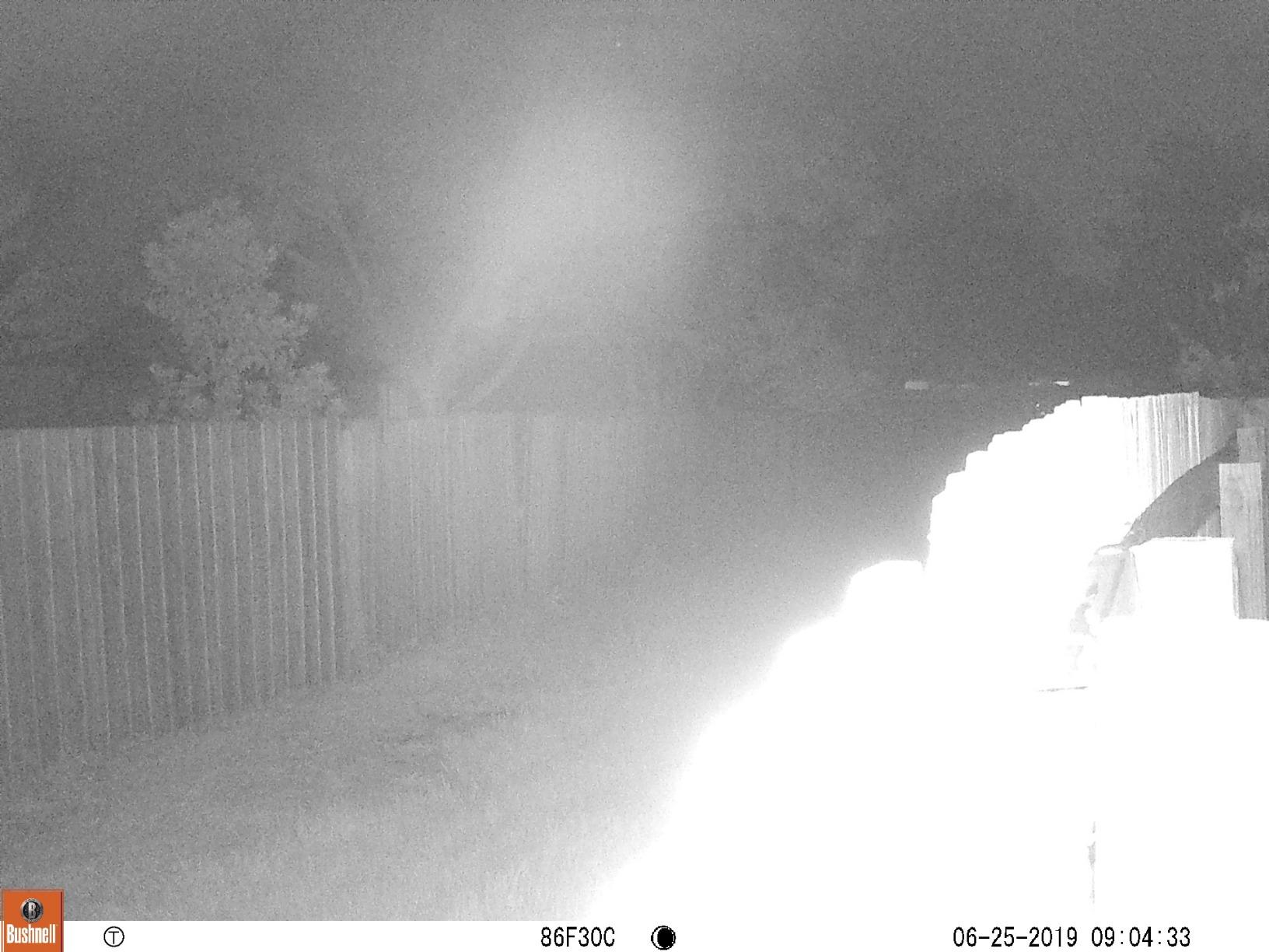 Bushnell Trophy Cam Trail Camera, Brown customer photo 2