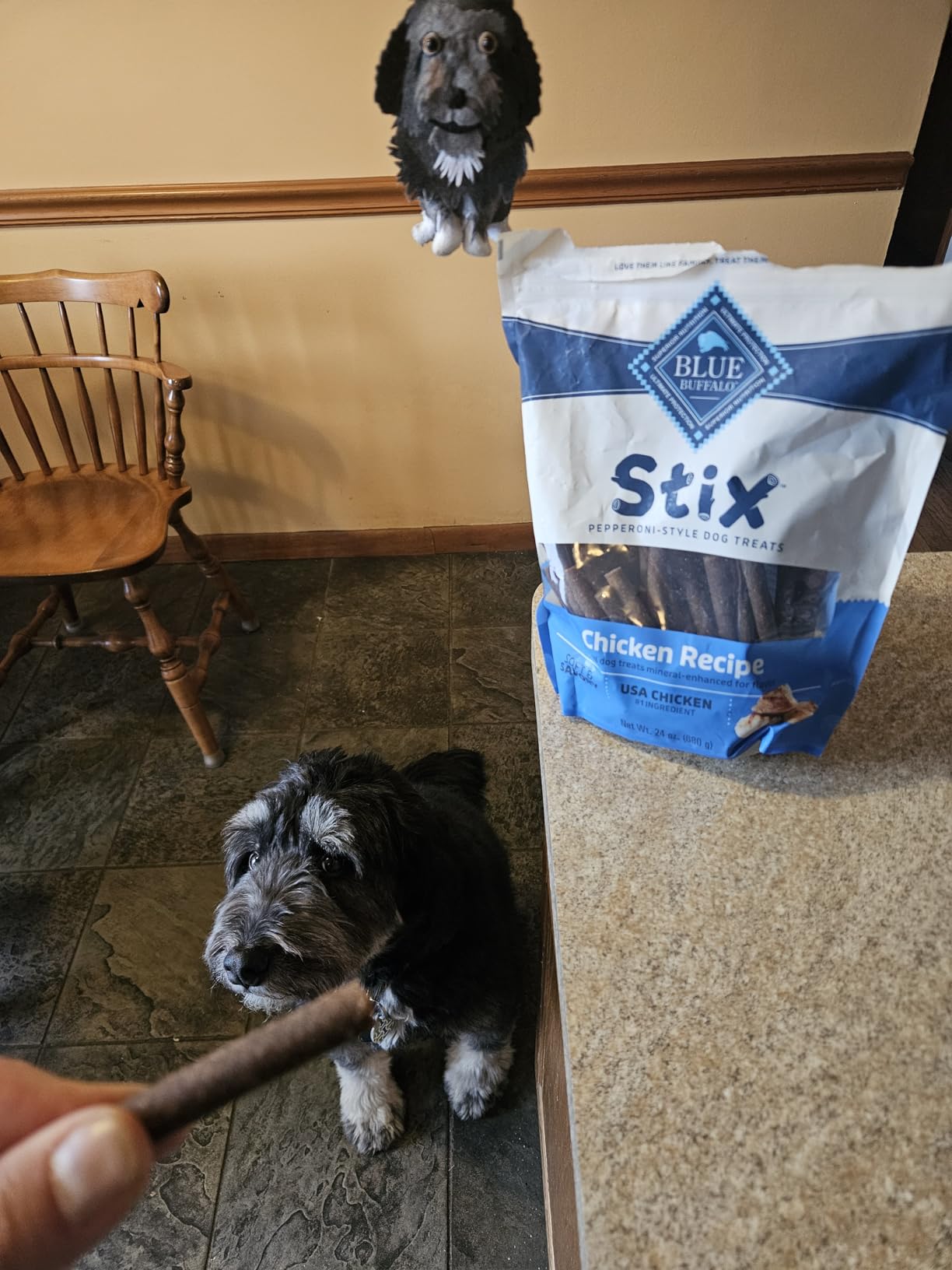 Blue Buffalo Beef Stix Pepperoni-Style Dog Treats, Soft & Meaty Dog Snacks Made in the USA with Real Beef & Natural Ingredients, 13 oz. customer photo 2