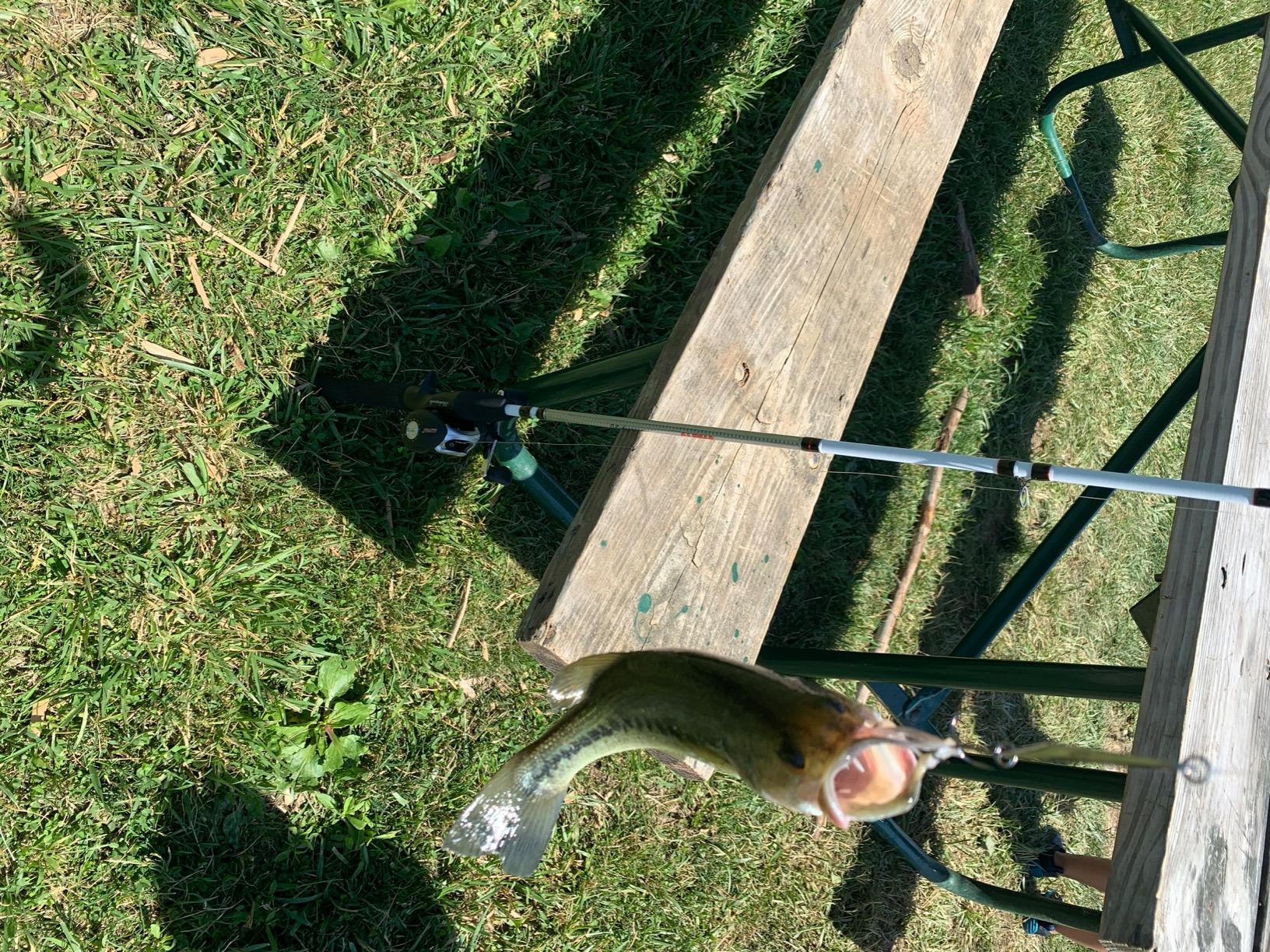 Shakespeare Alpha Medium 6' Low Profile Fishing Rod and Bait Cast Reel Combo (2 Piece), Black, White customer photo 1