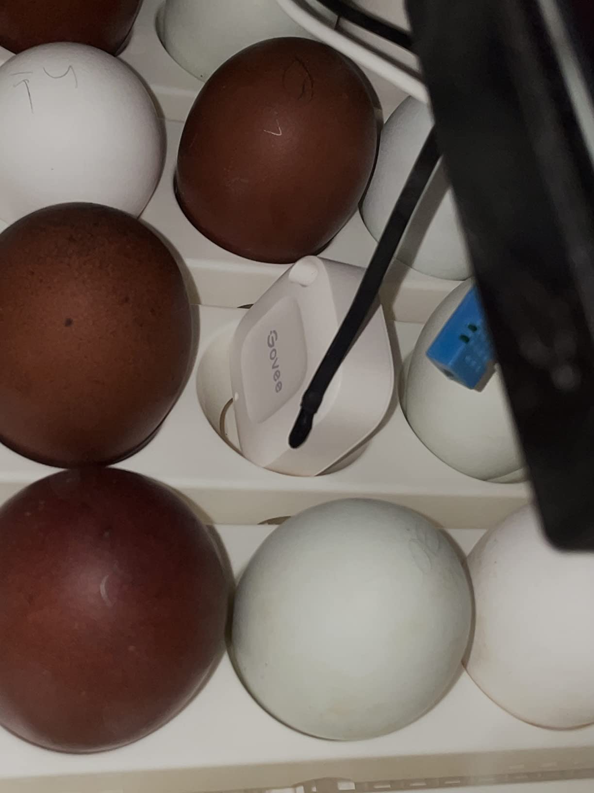 Farm Innovators Model 2450 Pro Series Digital Circulated Air Egg Incubator with Automatic Egg Turning and Humidity Control, 41 Egg Capacity customer photo 2