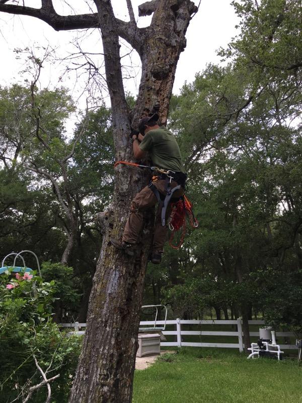 Better Grab Steel Core Flipline Kit (1/2 inch x 10 feet) - Adjustable Tree Lanyard, Low Stretch, Cut Resistant for Fall Protection, Arborist, Tree Climbers customer photo 1