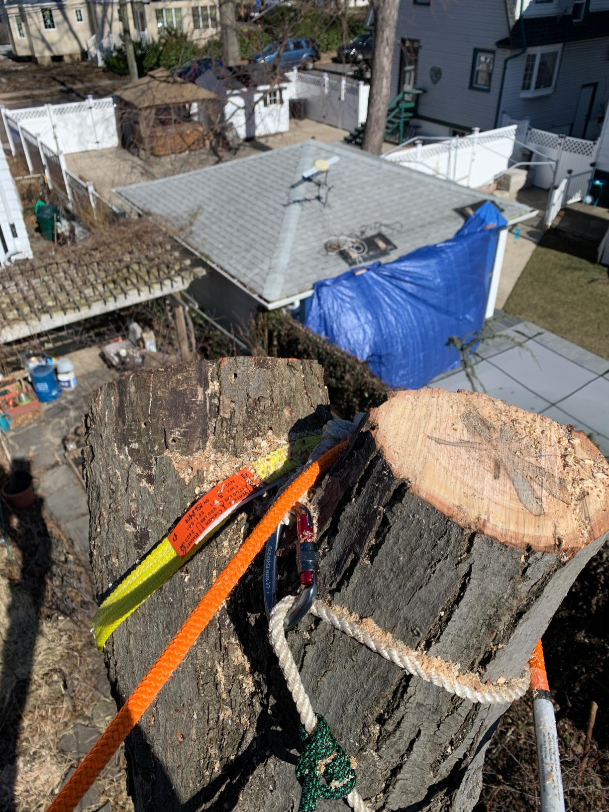Steel Core Flip Line Kit, 1/2 in x 8 ft - USA Made w/Better Grab Adjuster & Steel Swivel, Arborist Equipment Positioning Lanyard for Climbing Trees customer photo 1
