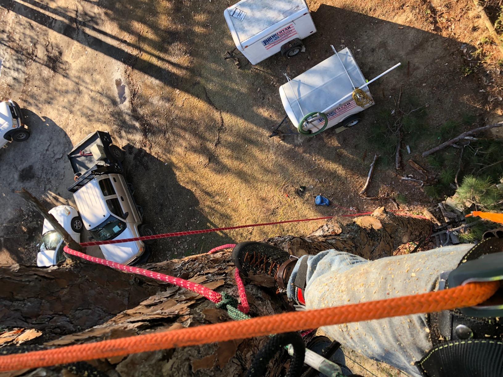 Steel Core Flip Line Kit, 1/2 in x 8 ft - USA Made w/Better Grab Adjuster & Steel Swivel, Arborist Equipment Positioning Lanyard for Climbing Trees customer photo 2