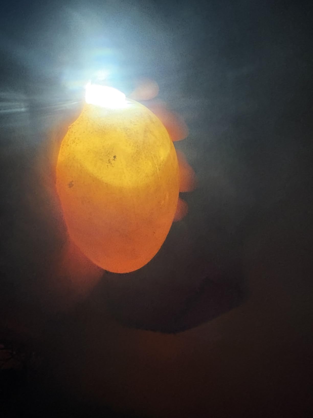 Incu-Bright Ultra Bright LED Egg Candler - Portable Light for All Egg Sizes - Model 1102 customer photo 1