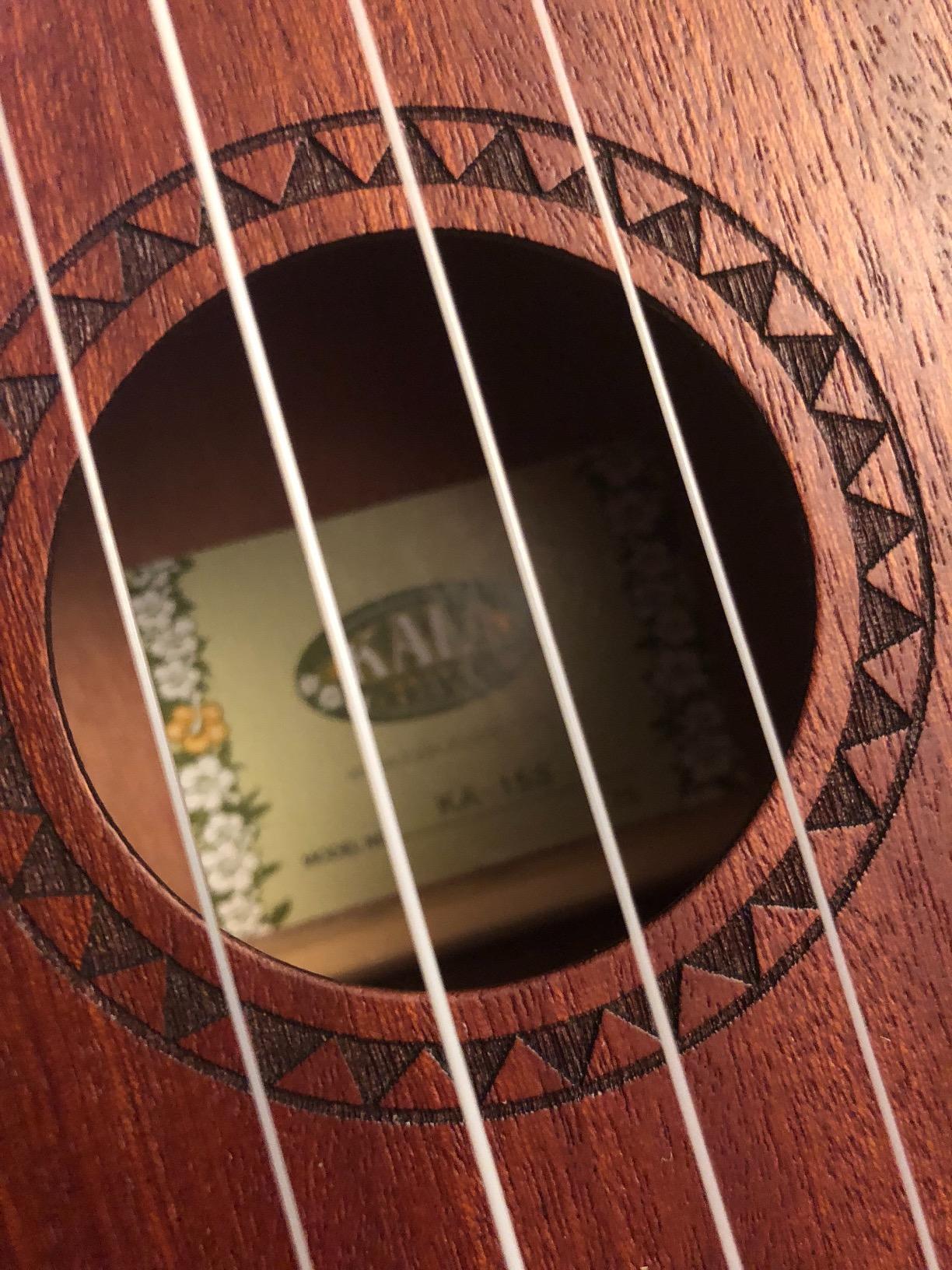 Kala KA-15T Satin Mahogany Tenor Ukulele Bundle with Gig Bag, Tuner, Austin Bazaar Instructional DVD, and Polishing Cloth customer photo 1