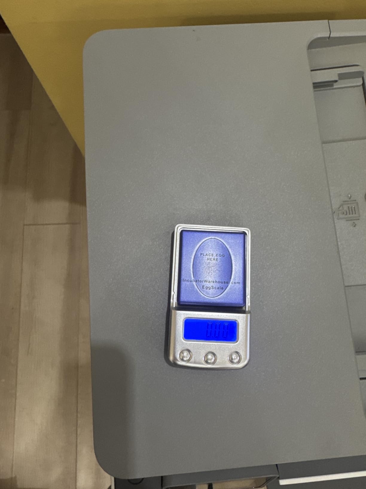 Digital Scale with Blue Backlit LCD Display - Accurate Humidity Measurement for Chicken, Quail, Goose and Various Egg Sizes customer photo 1