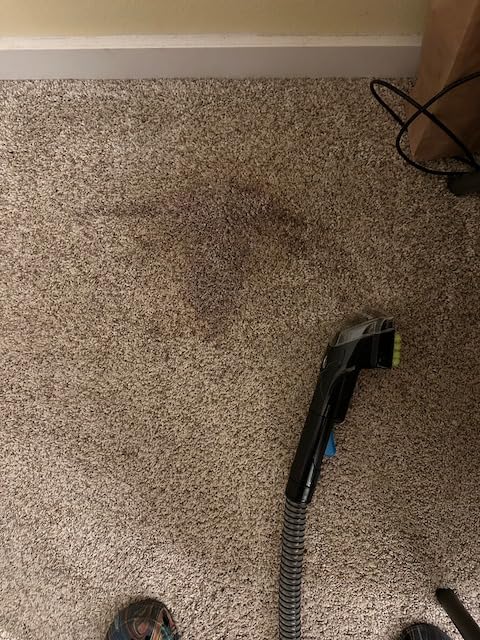 SpotClean Pet Pro Portable Carpet Cleaner, 2458 customer photo 1