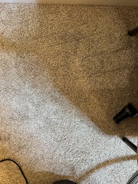 SpotClean Pet Pro Portable Carpet Cleaner, 2458 customer photo 2