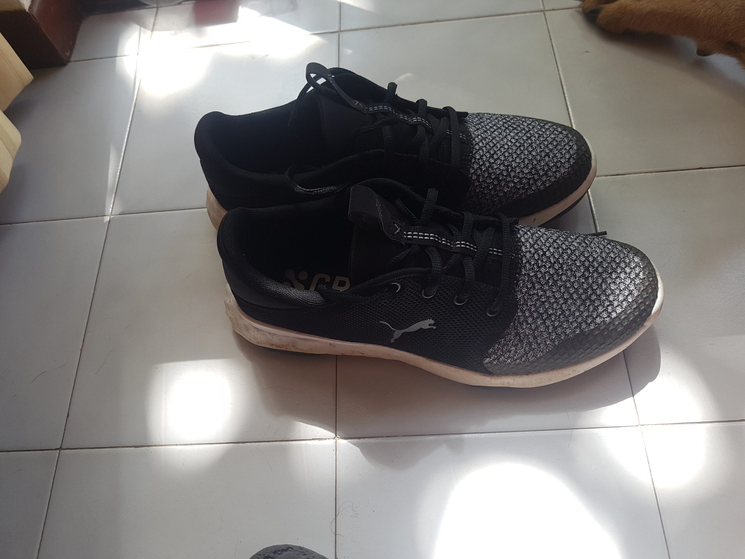 Puma Men's Grip Fusion Sport Golf Shoe customer photo 1