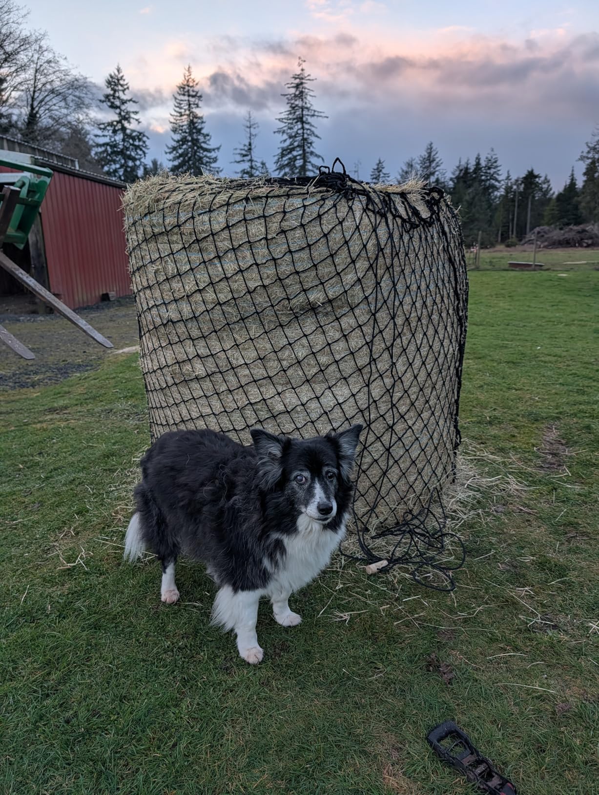 KNOTLESS Heavy Duty 5mm Thick Round Bale Slow Feed Hay Net 6x6 (Hole_Size_2.5 inches) customer photo 2