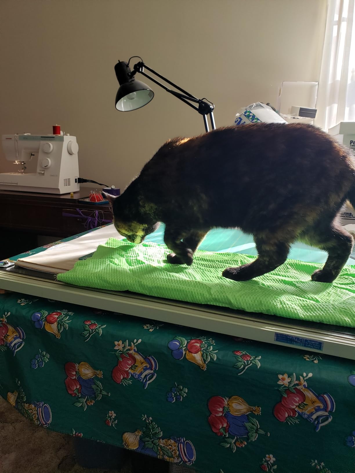 Janome Sewist 721 Sewing Machine customer photo 1