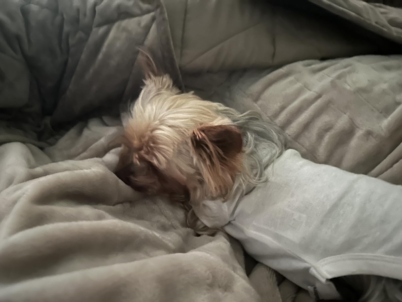 Tefici Heated Blanket Throw 50