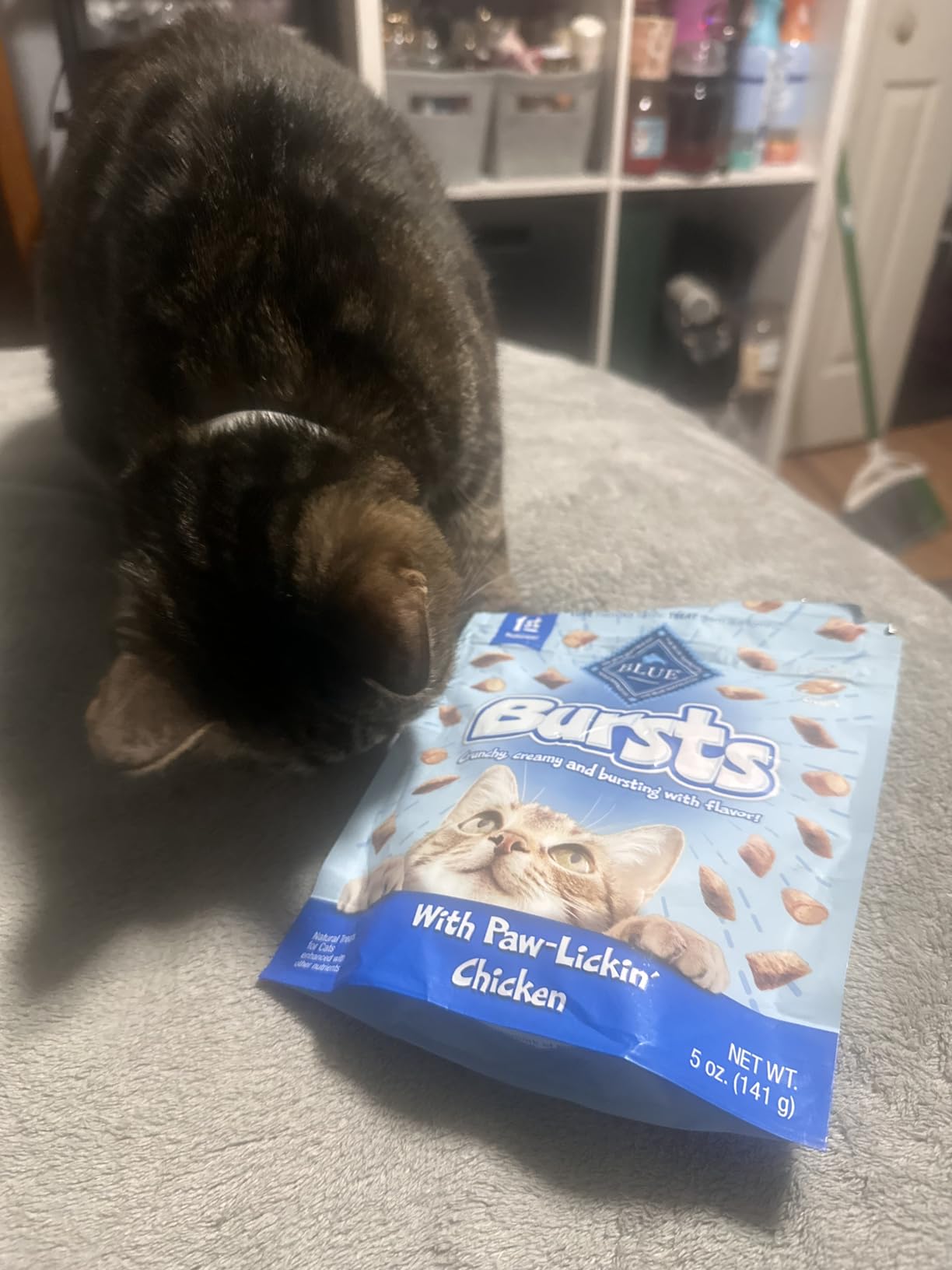 Blue Buffalo Bursts Paw-Lickin' Chicken Crunchy & Creamy Cat Treats, Made with Real Chicken, Natural Cat Treats, 5 oz. customer photo 1