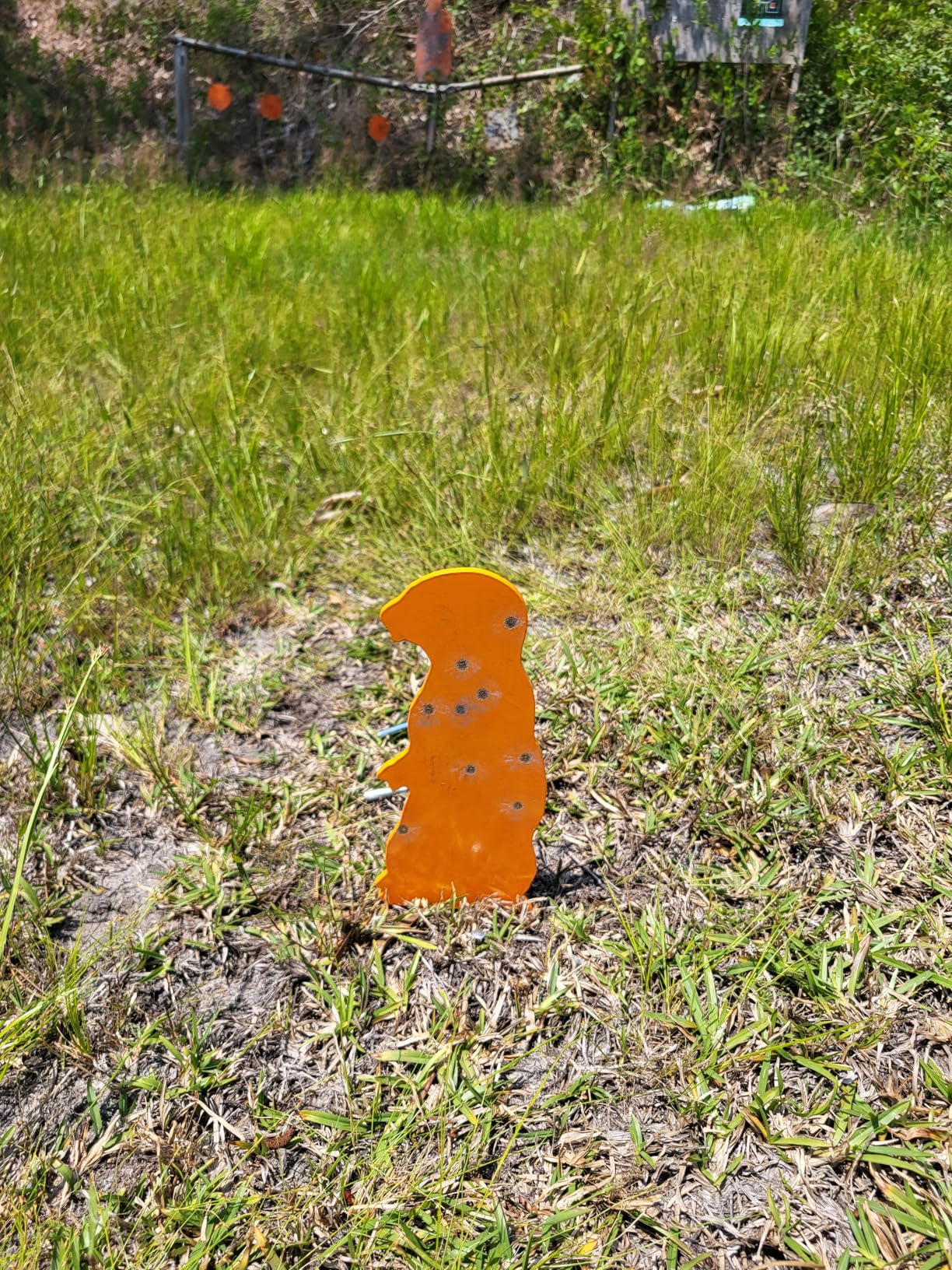 Highwild Resetting Target, Rated for .22 Rimfire - Large Size and 2.5 Inch Shooting Targets | Pop-Up Steel Prairie Dog customer photo 1