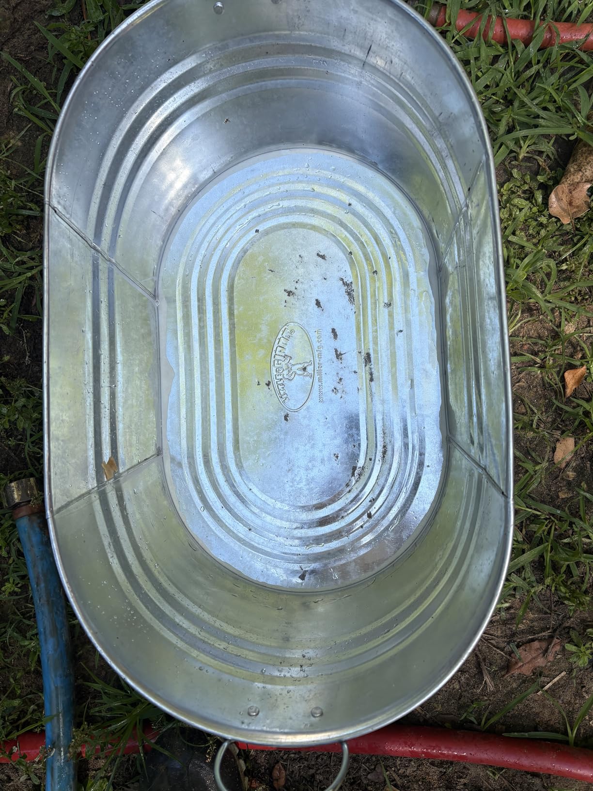 Little Giant Galvanized Oval Tub | Versatile Utility Metal Tub with Handles | Feeding, Watering & Washing Tub | 5.5 Gallon customer photo 1