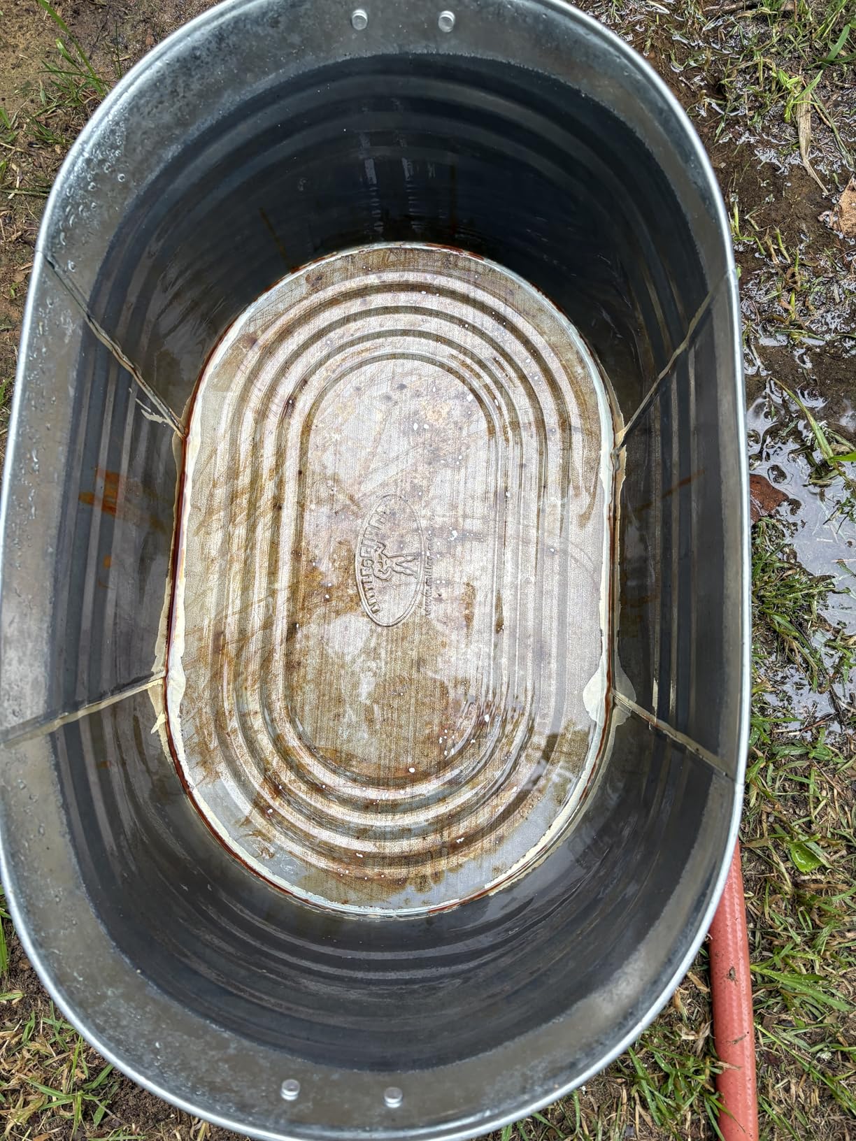 Little Giant Galvanized Oval Tub | Versatile Utility Metal Tub with Handles | Feeding, Watering & Washing Tub | 5.5 Gallon customer photo 2