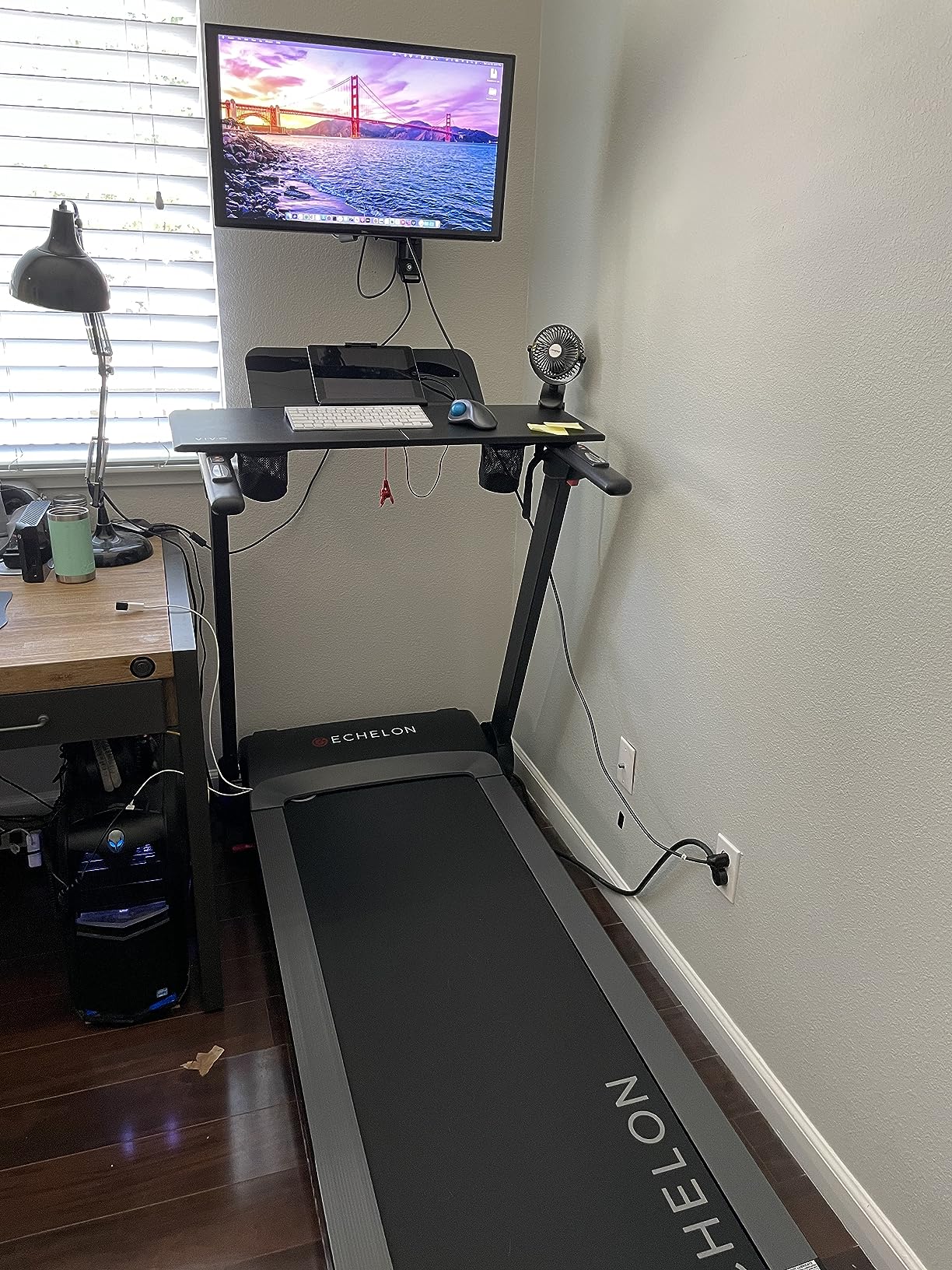 NordicTrack Stride Treadmill, Smart Foldable, Motorized Incline with 30-Day Free Membership customer photo 1