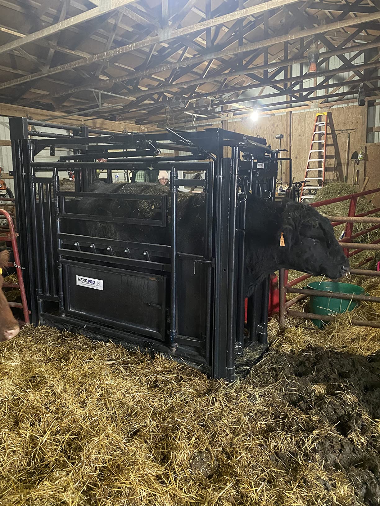 10000lb Load Bar Scale Set for Cattle, Hog, Pig, Goat, Sheep, Alleyway, Chute and Cage Scale | Two Weigh Bar and One Indicator Set (24