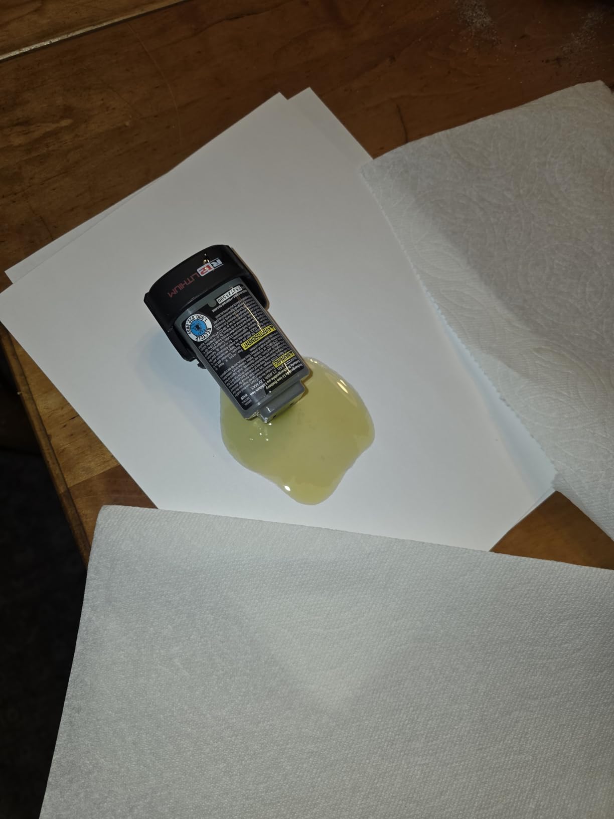 Rapala R12 Heavy-Duty Lithium Fillet Knife Combo customer photo 1