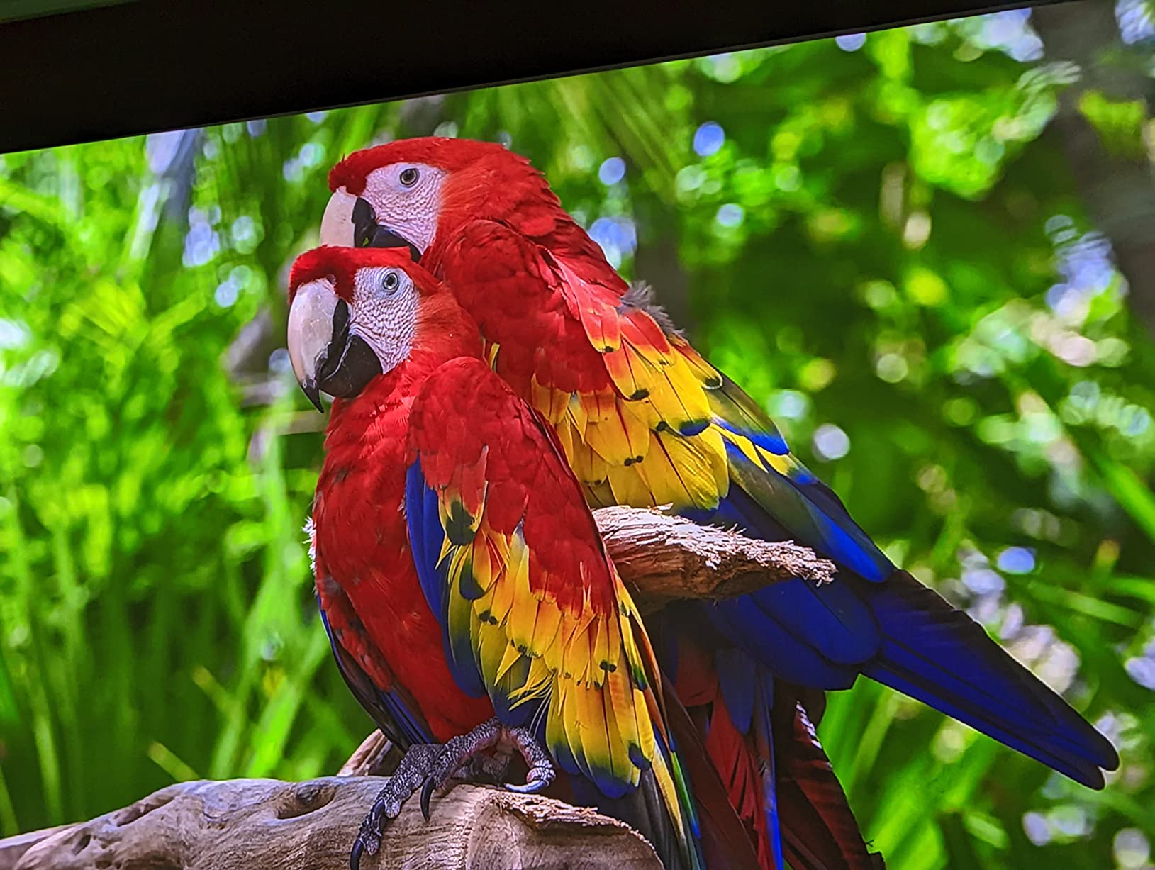 LG HU810PW 4K 300