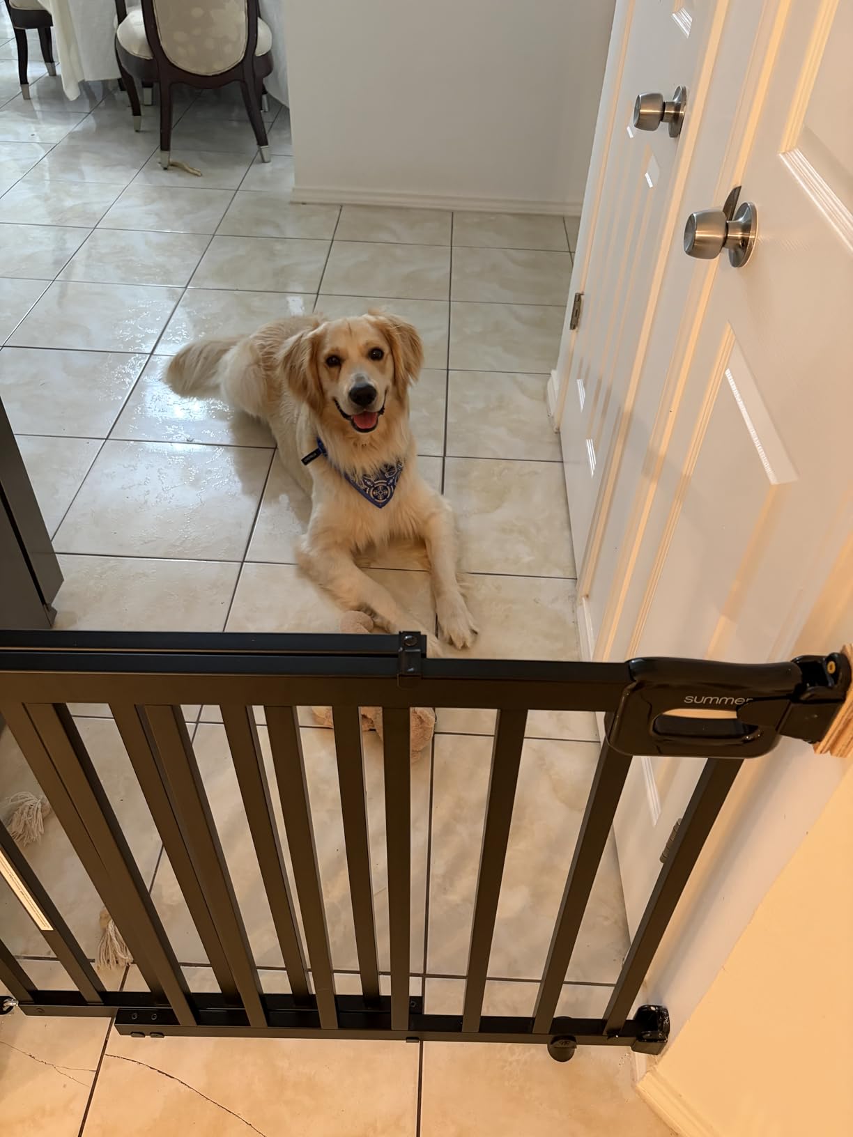 Summer Infant Deluxe Stairway Simple to Secure Safety Pet and Baby Gate,30'-48' Wide, 32' Tall, Install on Wall or Banister in Doorway or Stairway,Hardware Mount, Auto Close Walk-Thru Door-Black Wood customer photo 1