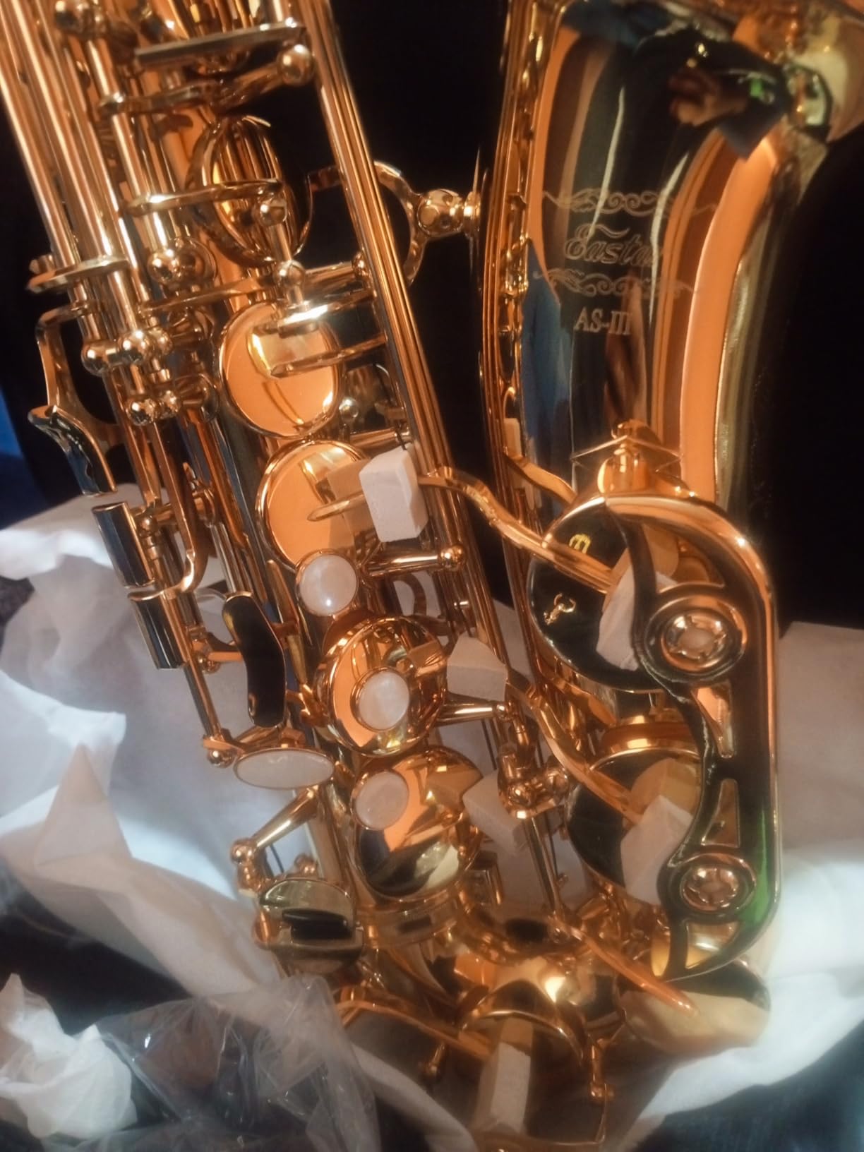 Eastar Professional Alto Saxophone Golden E Flat Eb with Cleaning Kit, Carrying Case, Mouthpiece, Neck Strap, Reeds, Stand, AS-Ⅲ customer photo 1